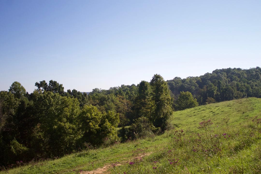 Heritage Hollow photo 13