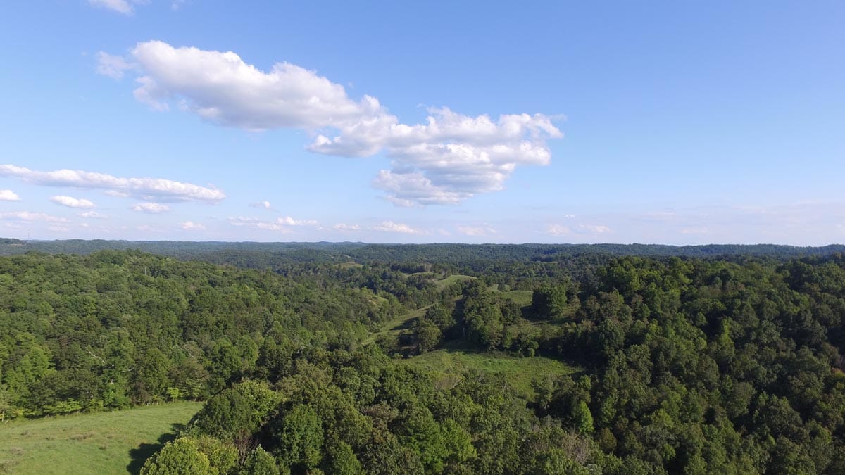 Heritage Hollow photo 3