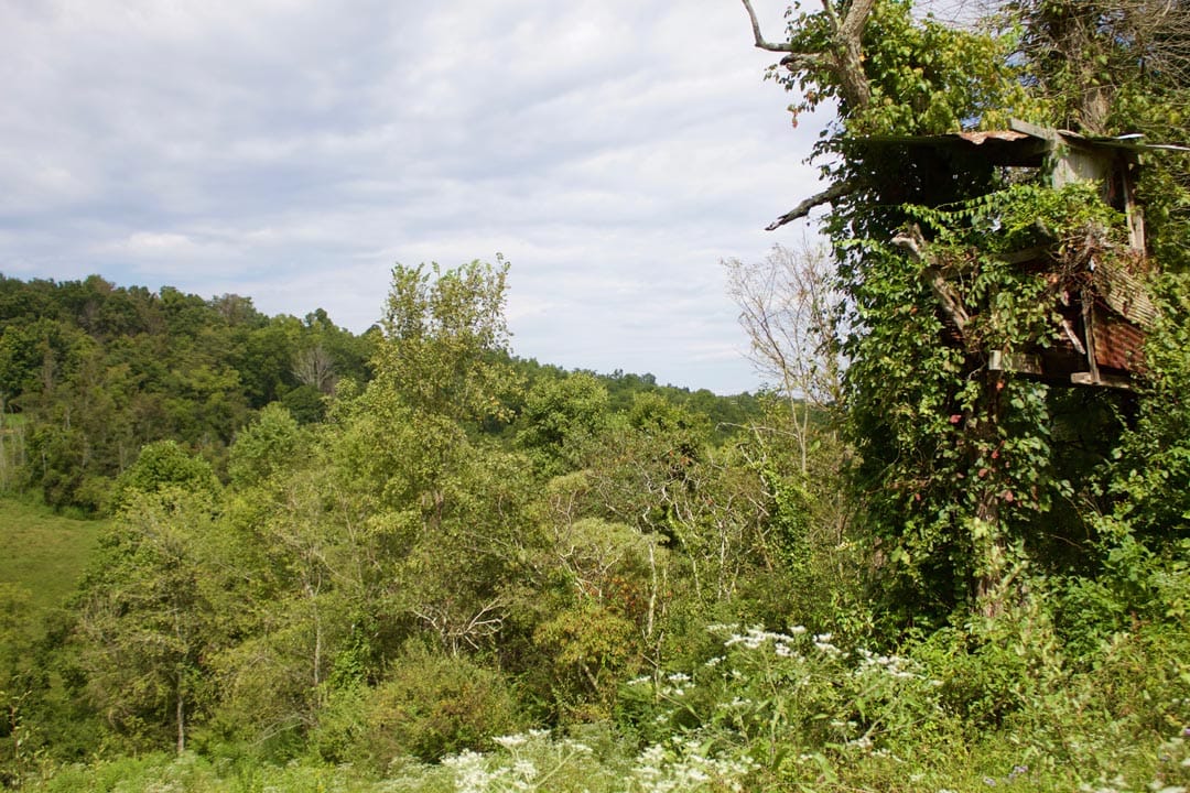 Heritage Hollow photo 24