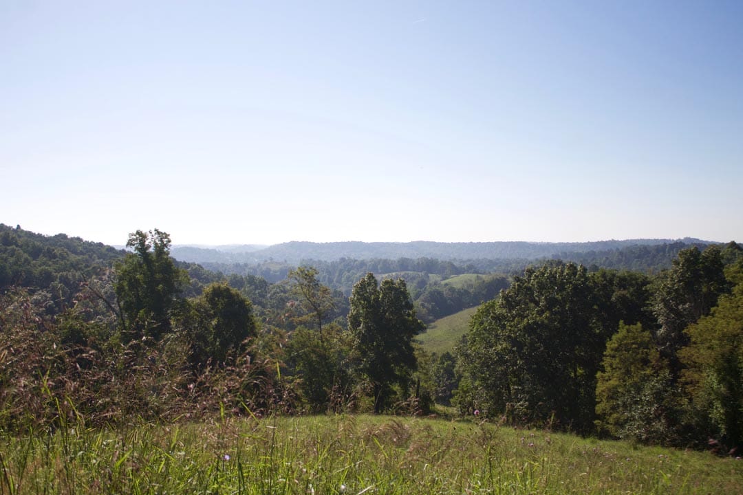 Heritage Hollow photo 14