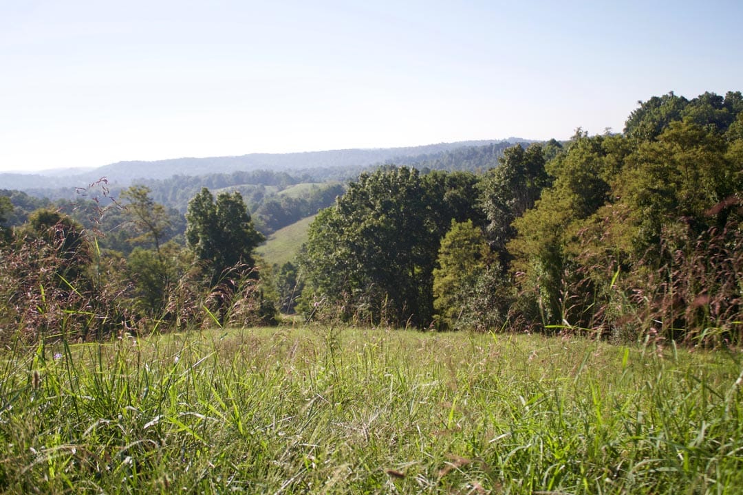 Heritage Hollow photo 15