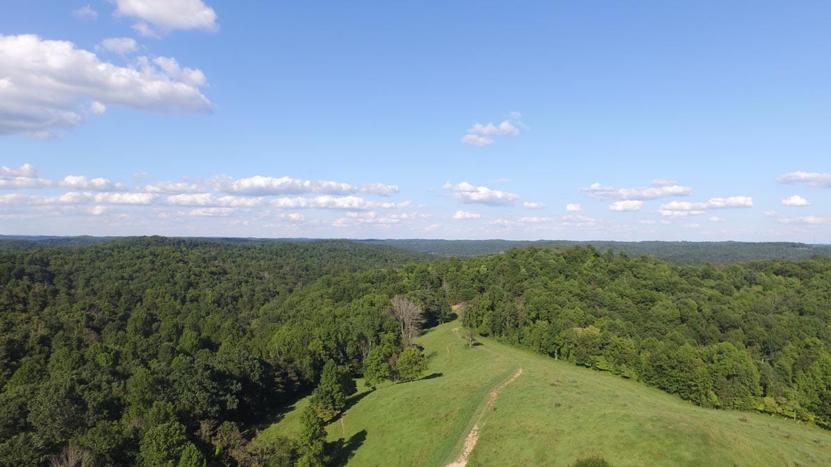Heritage Hollow photo 4
