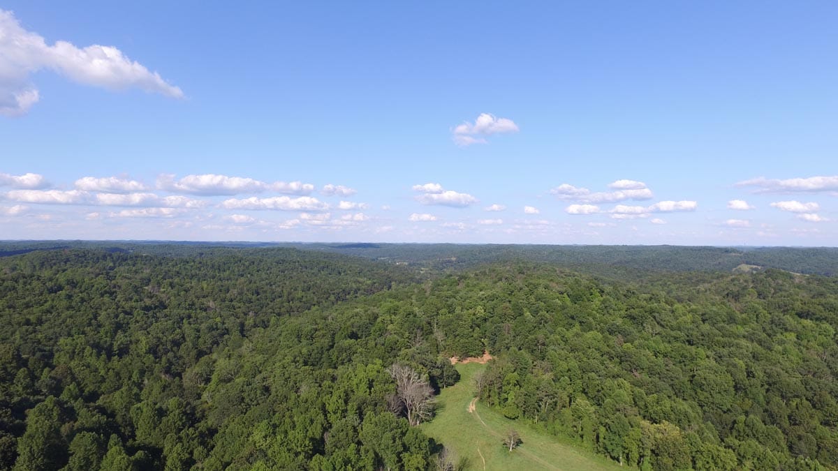 Heritage Hollow photo 5