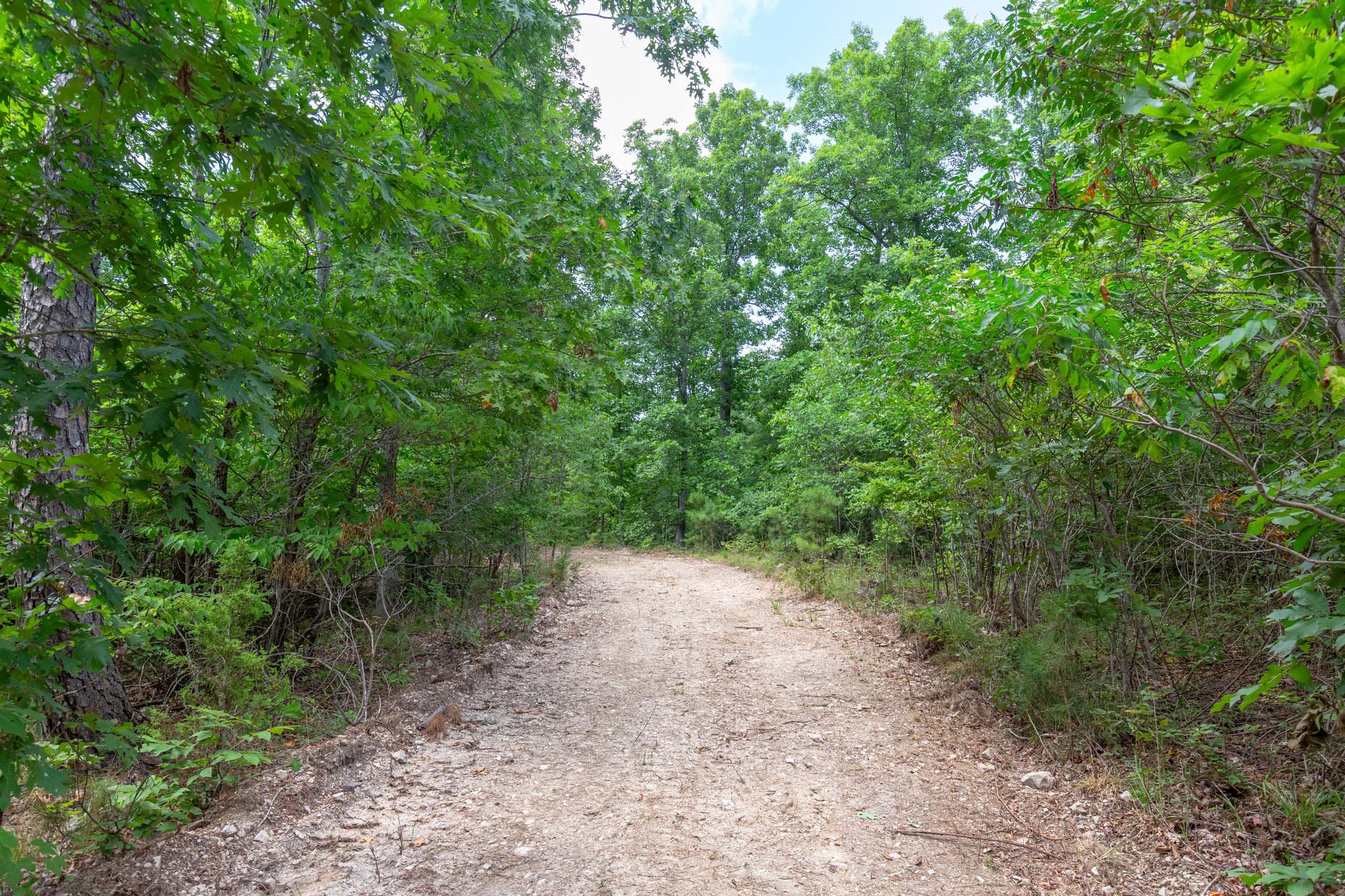 Cypress Ridge photo 4