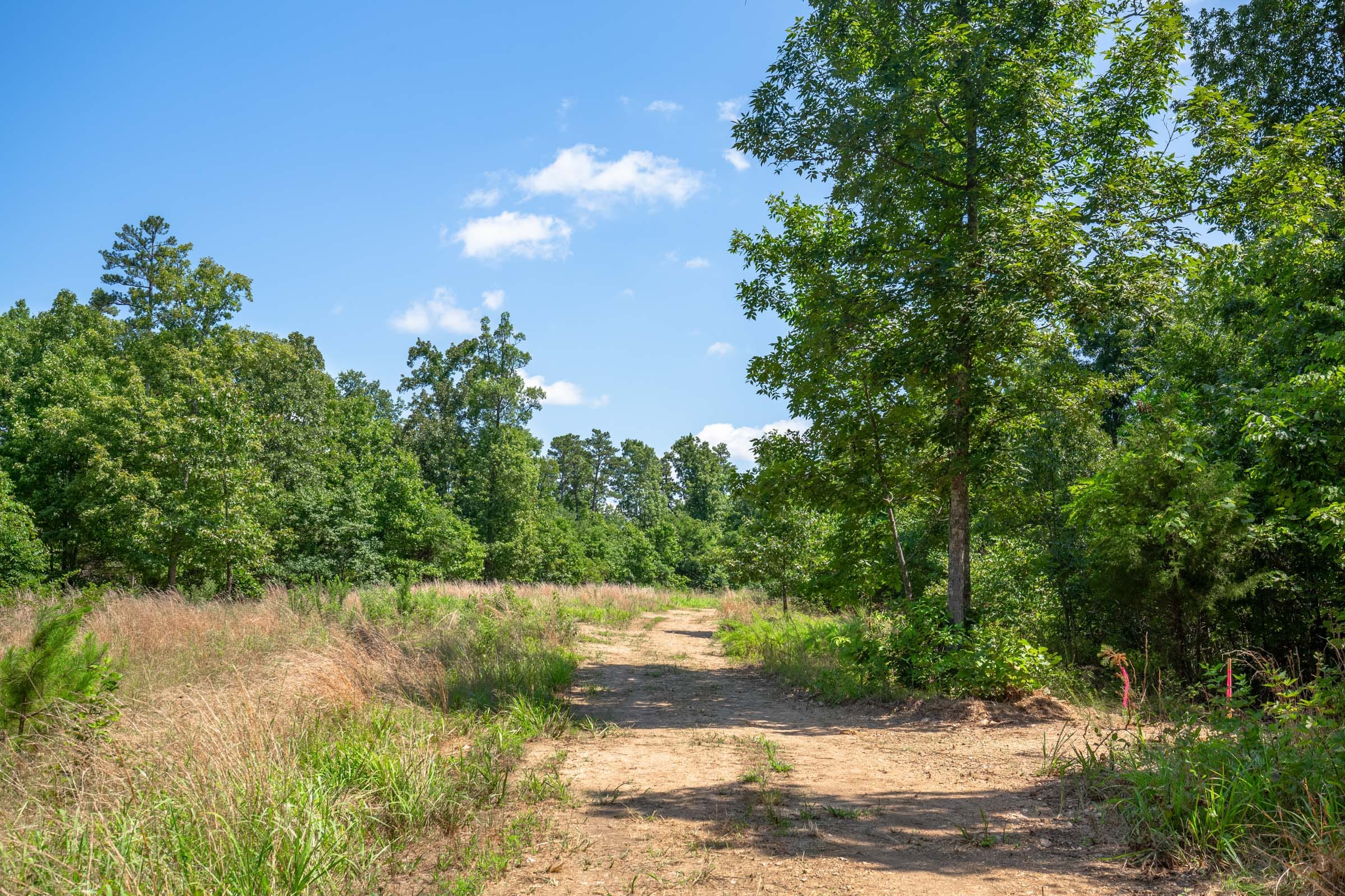 Cypress Ridge photo 7