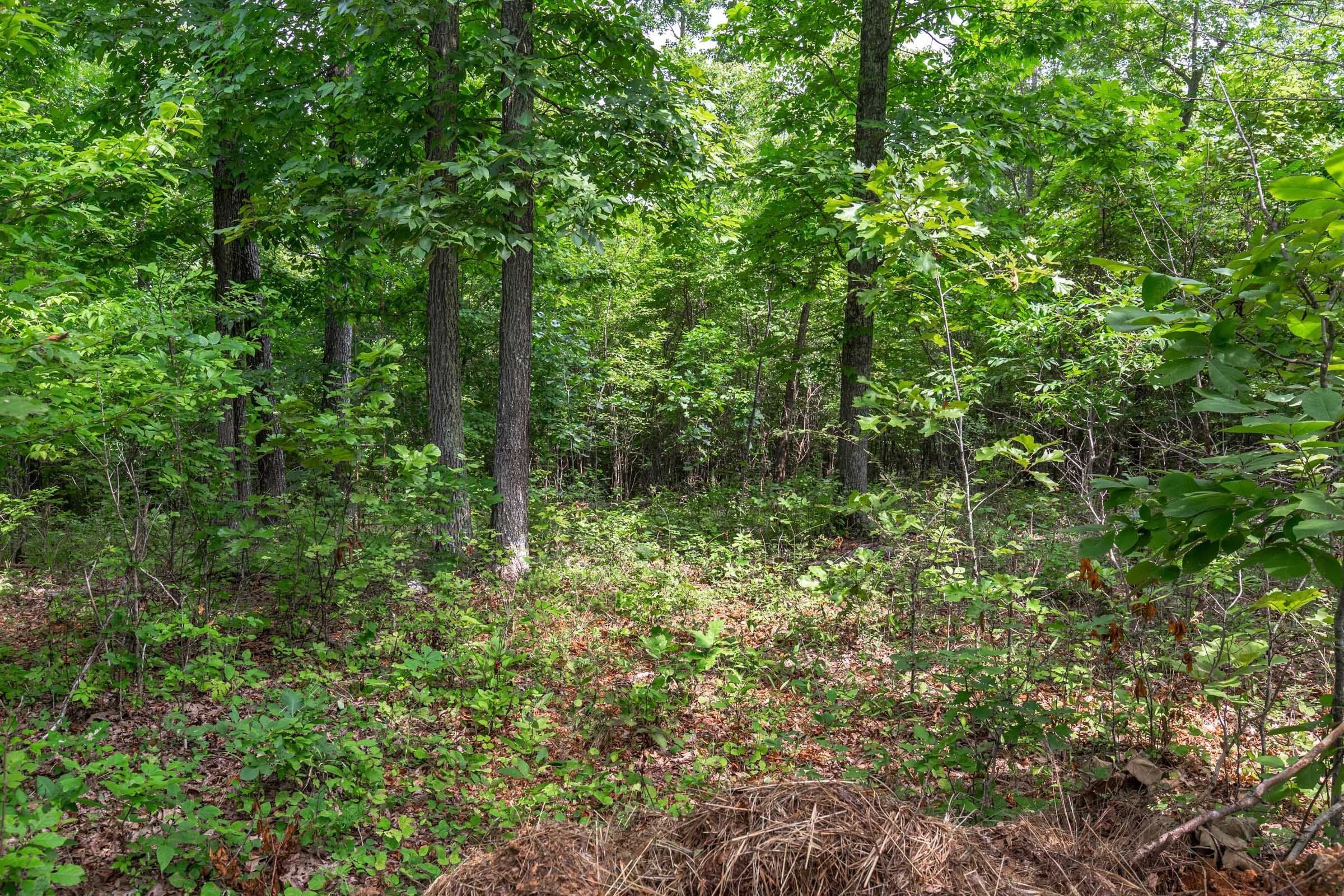 Cypress Ridge photo 2