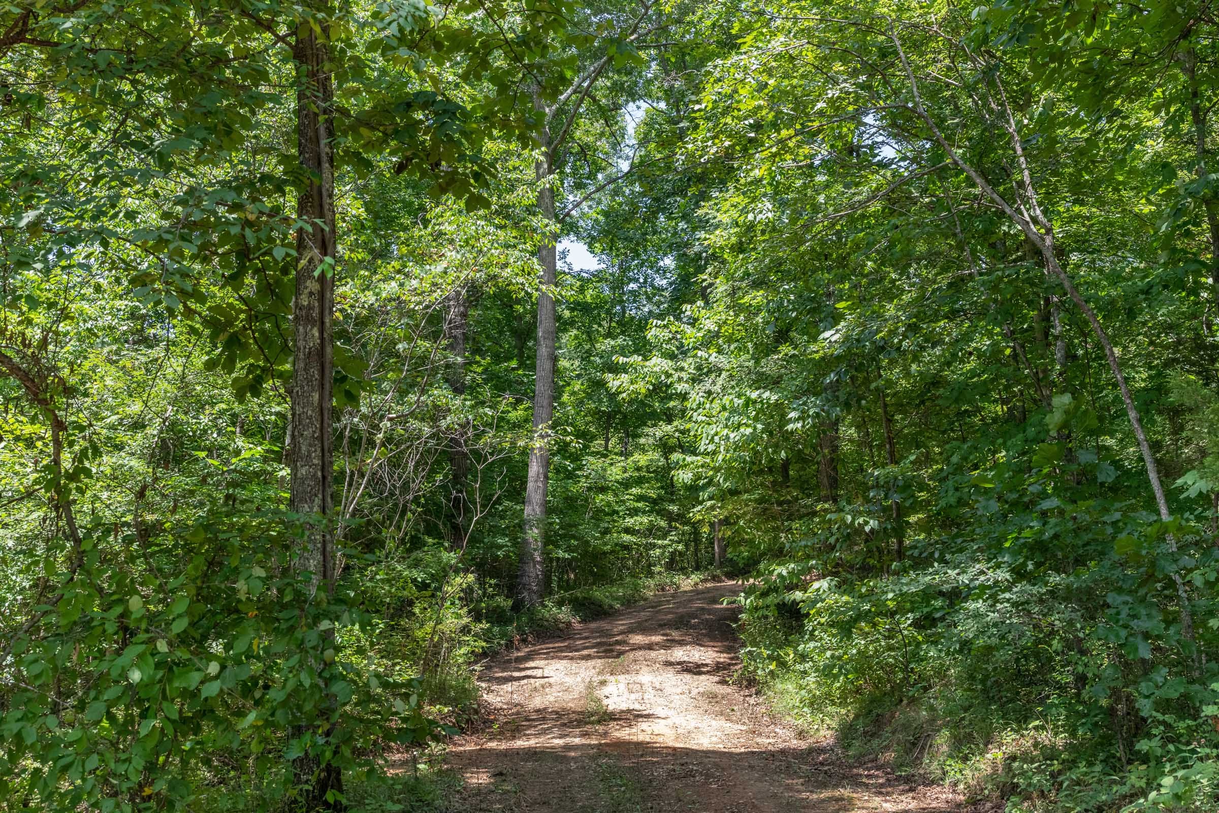 Cypress Ridge photo 8