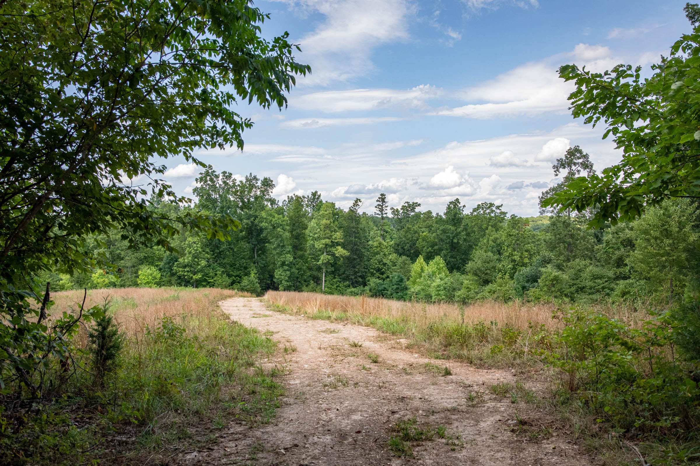 Cypress Ridge photo 10