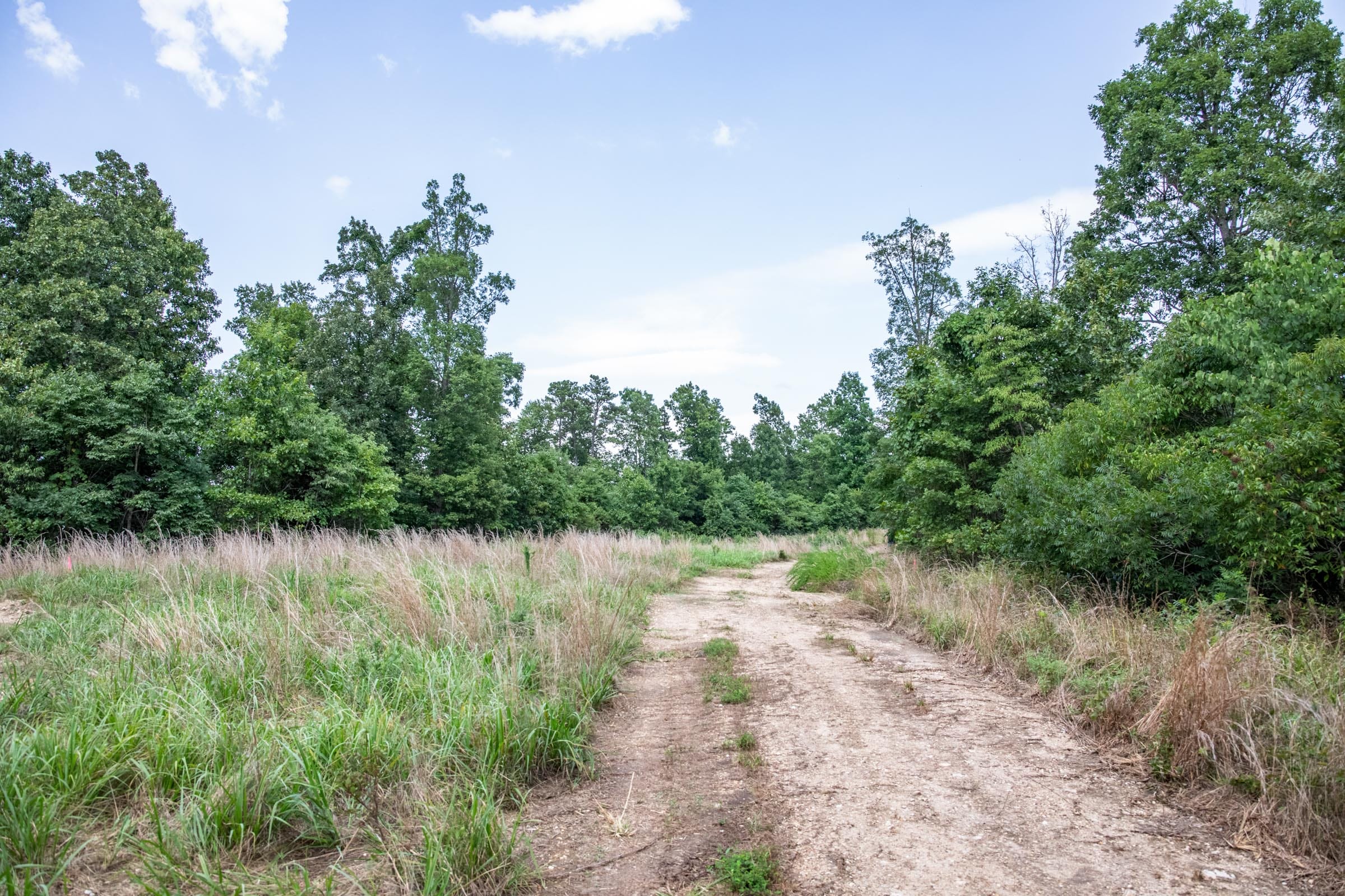 Cypress Ridge photo 9