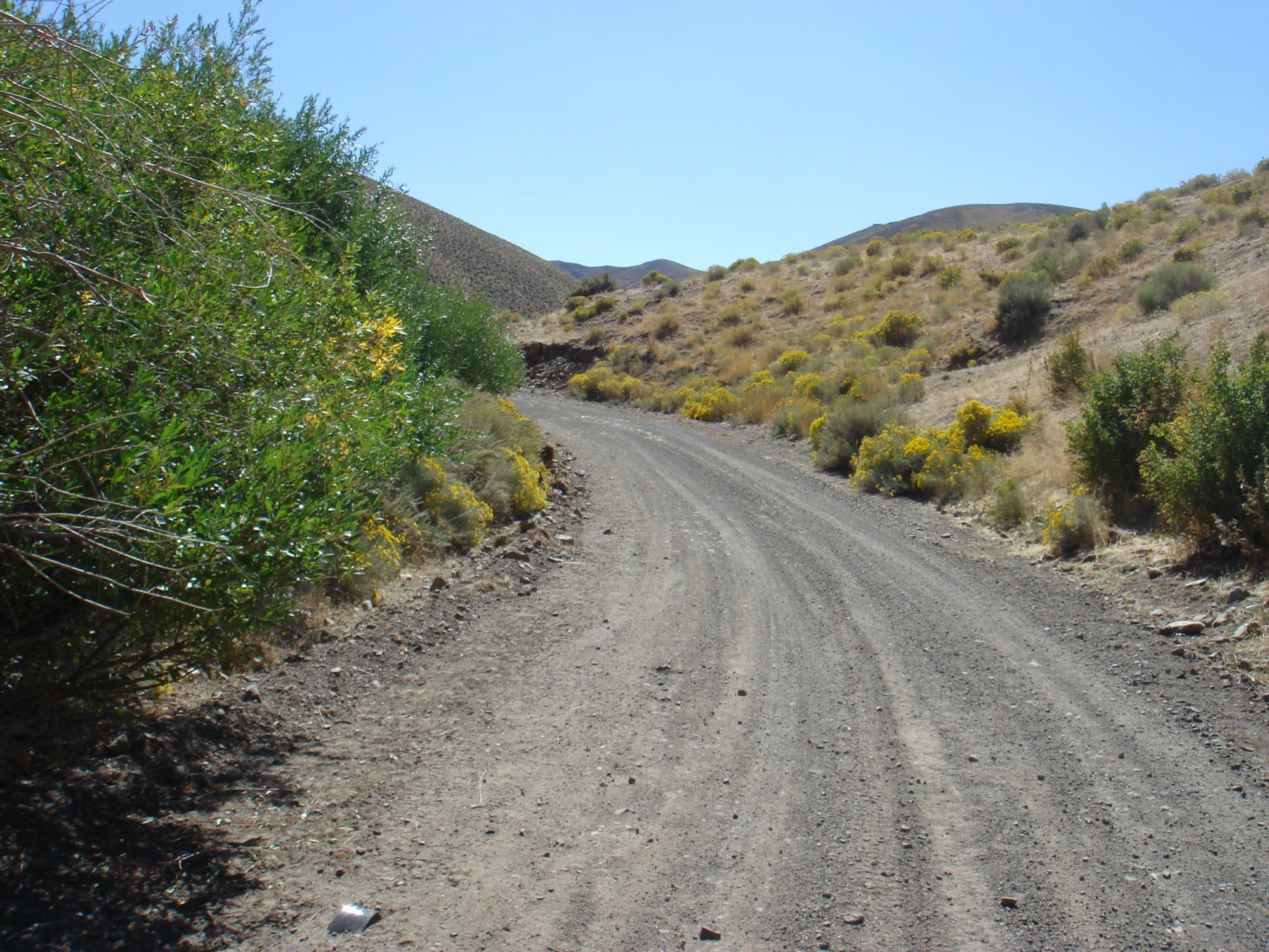 Humboldt County photo 3