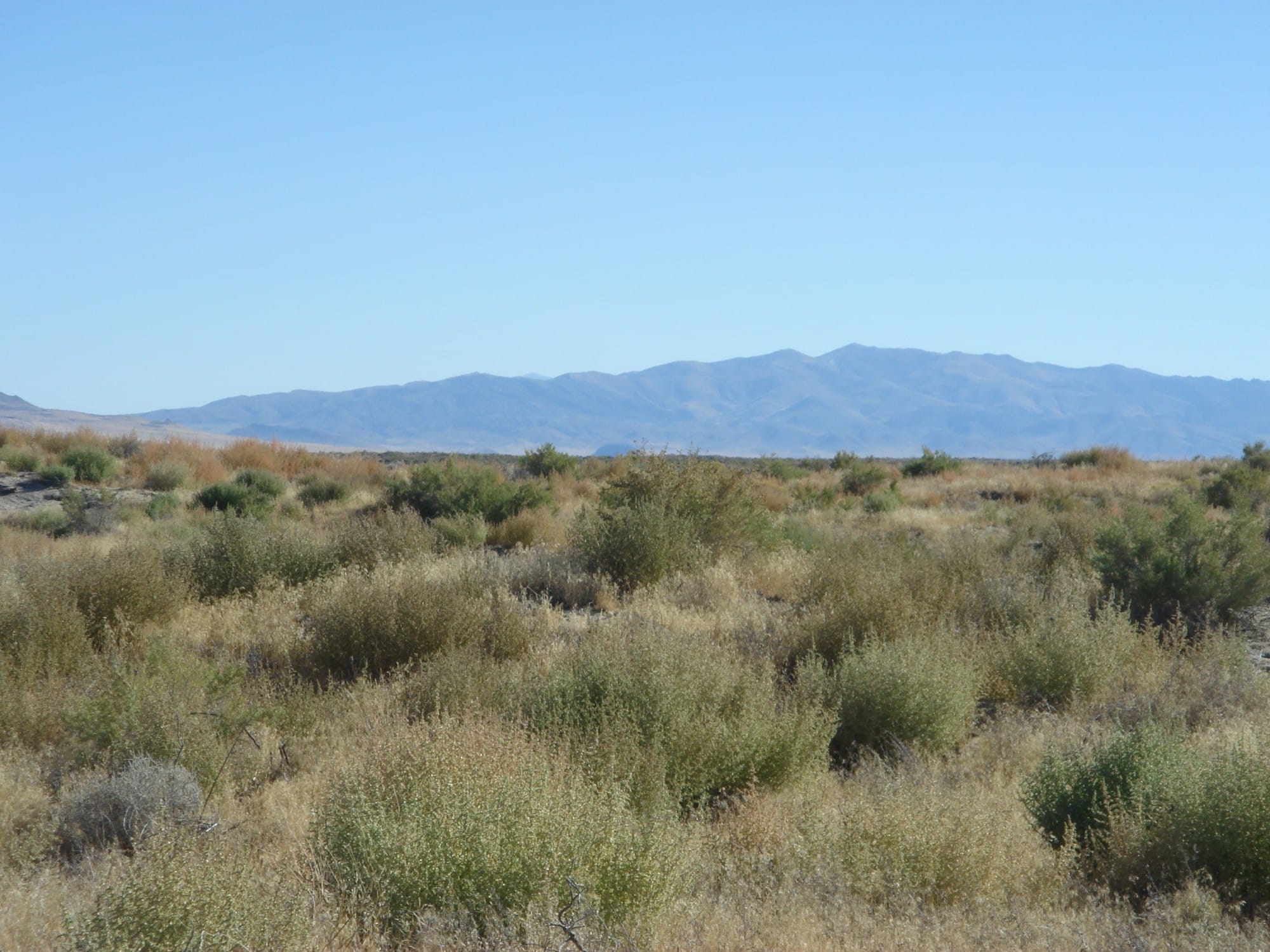 Humboldt County photo 20