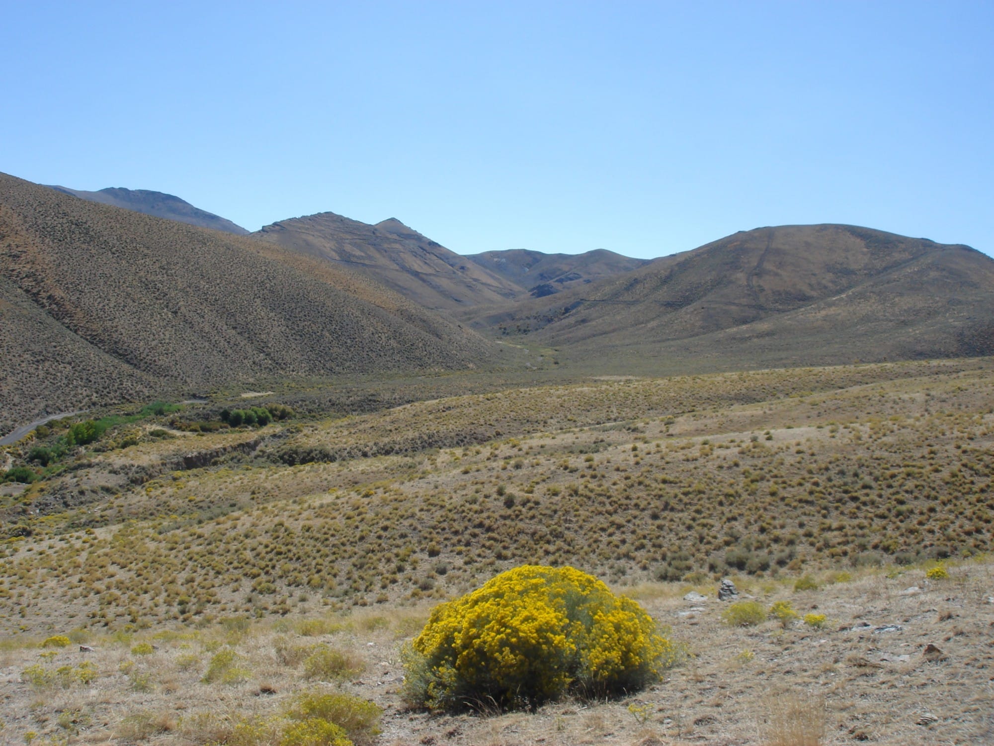 Humboldt County photo 2