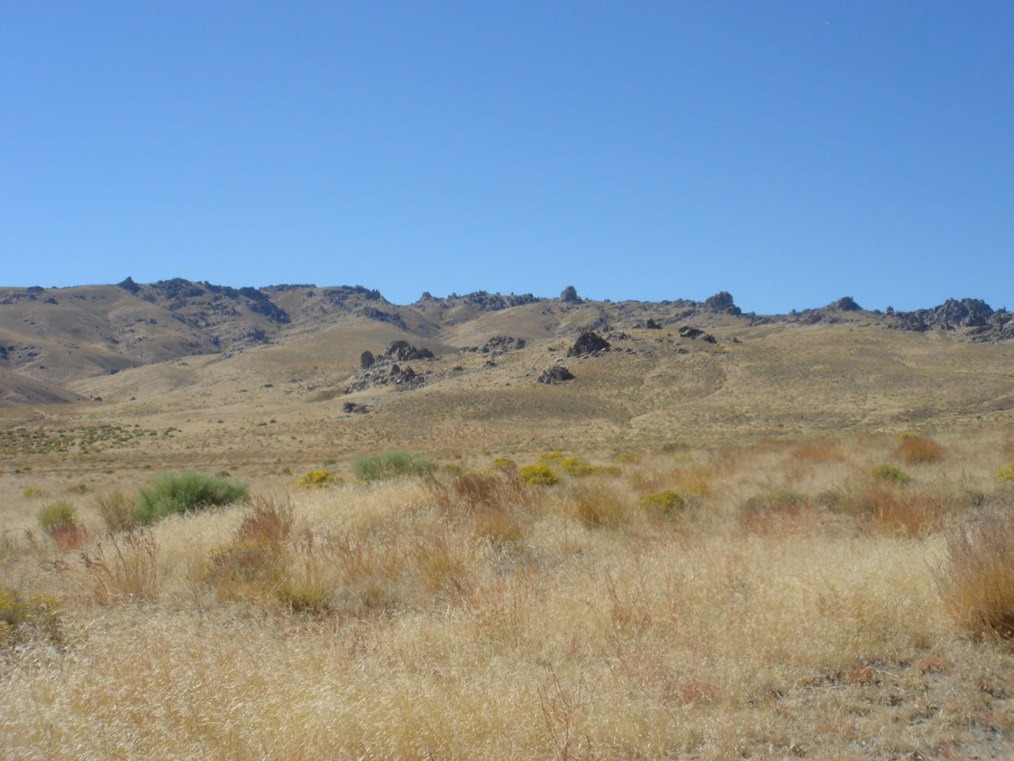 Humboldt County photo 16