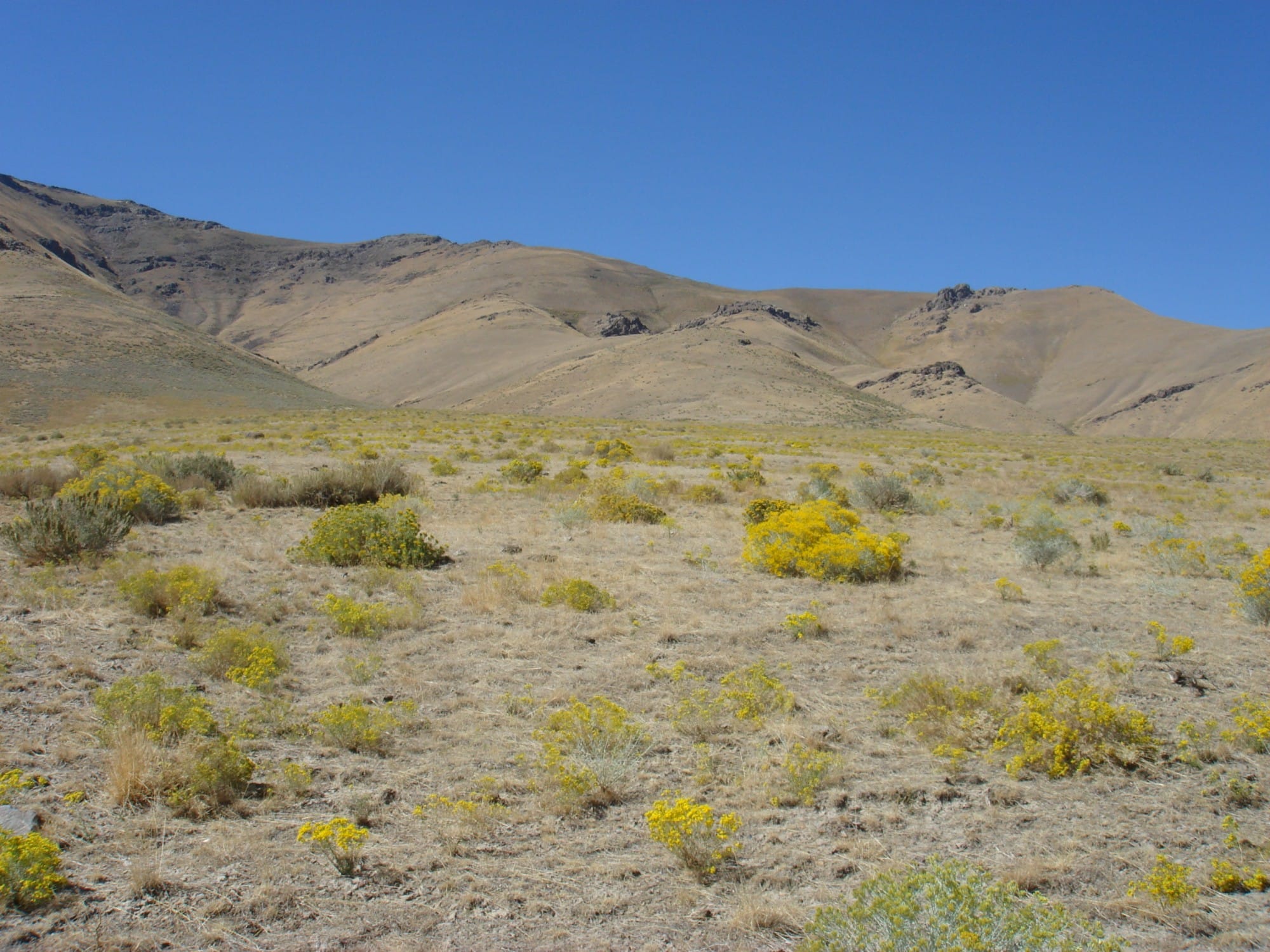 Humboldt County photo 1