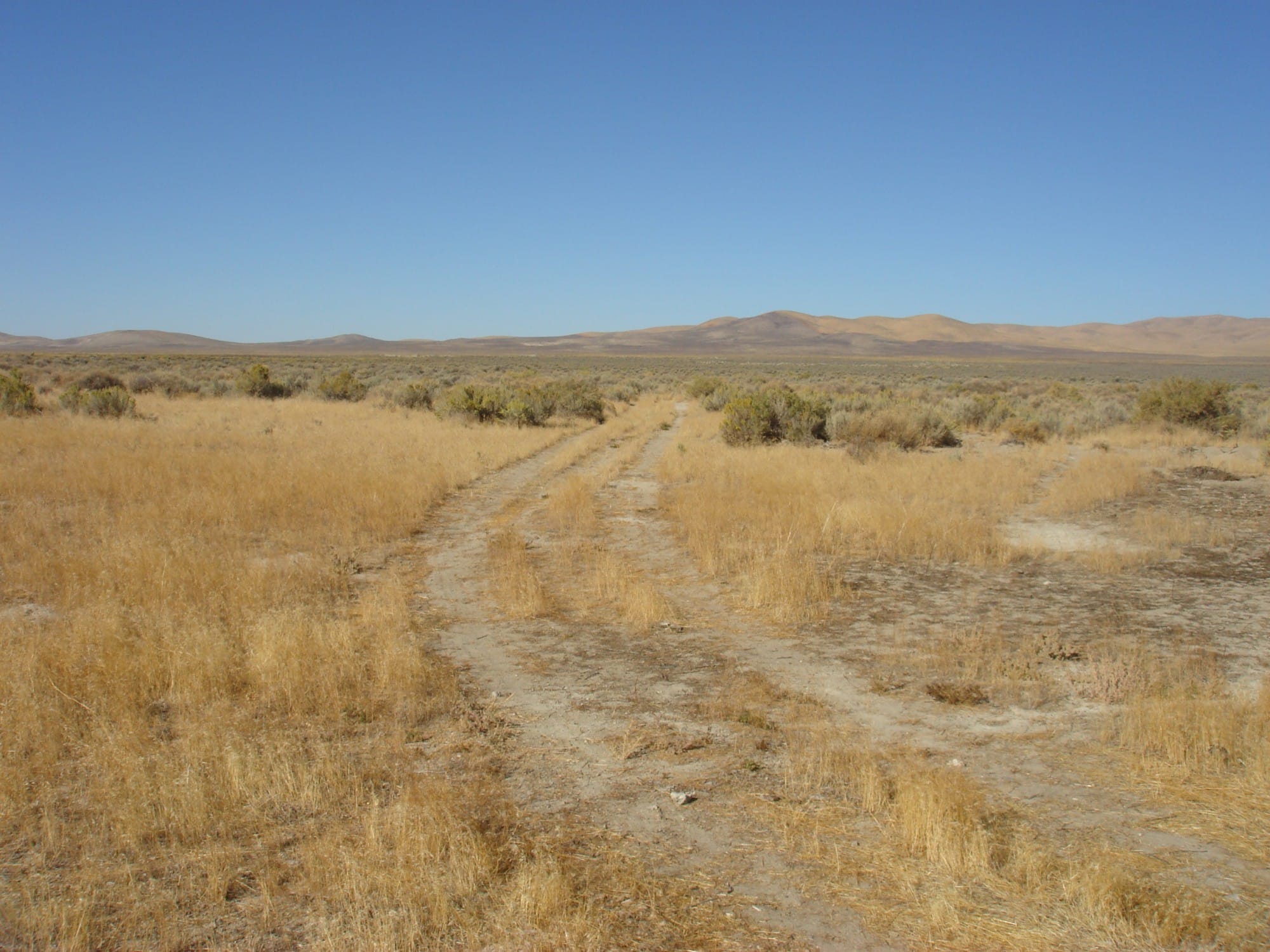 Humboldt County photo 15