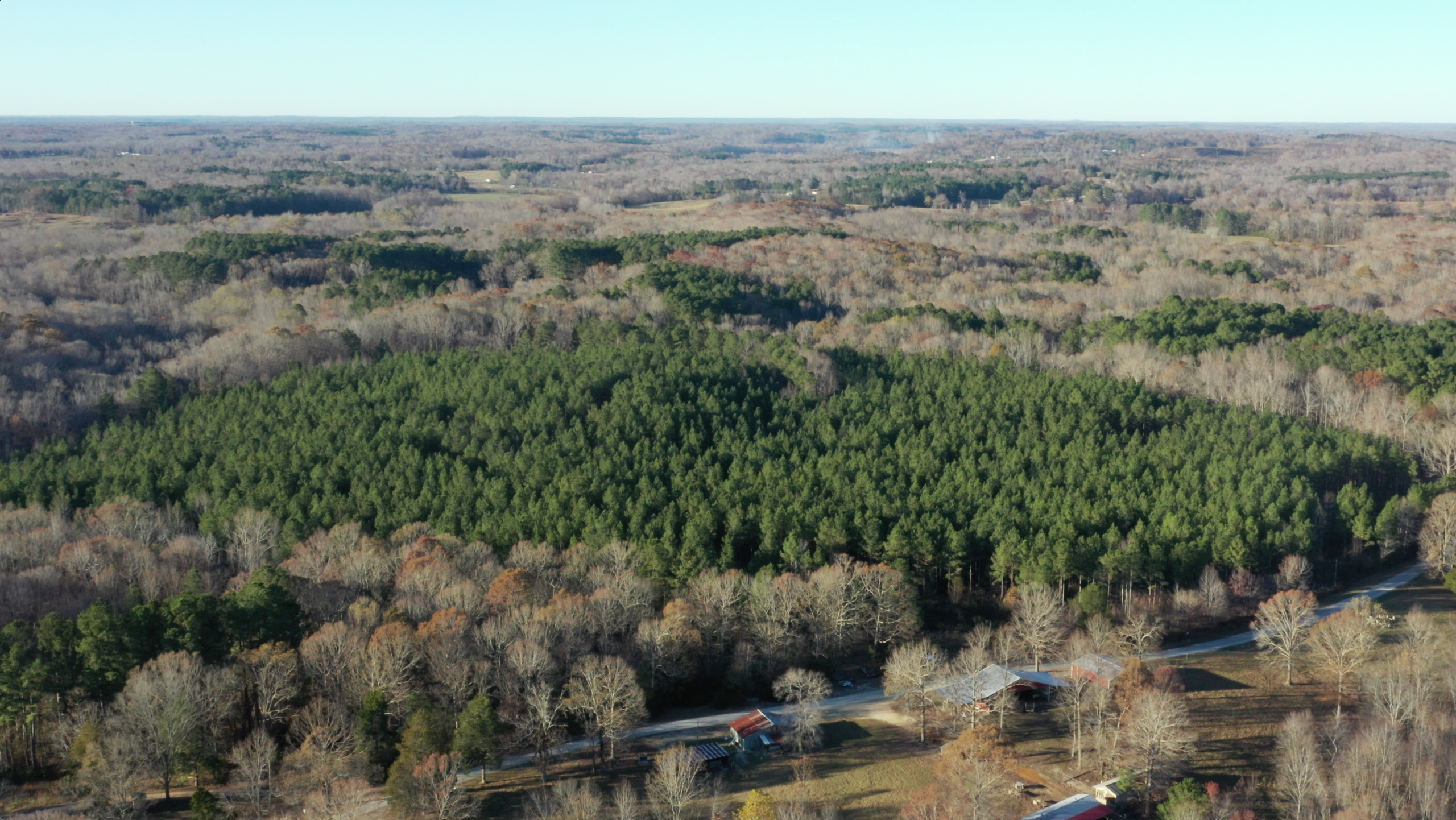 Whetstone Pines photo 12