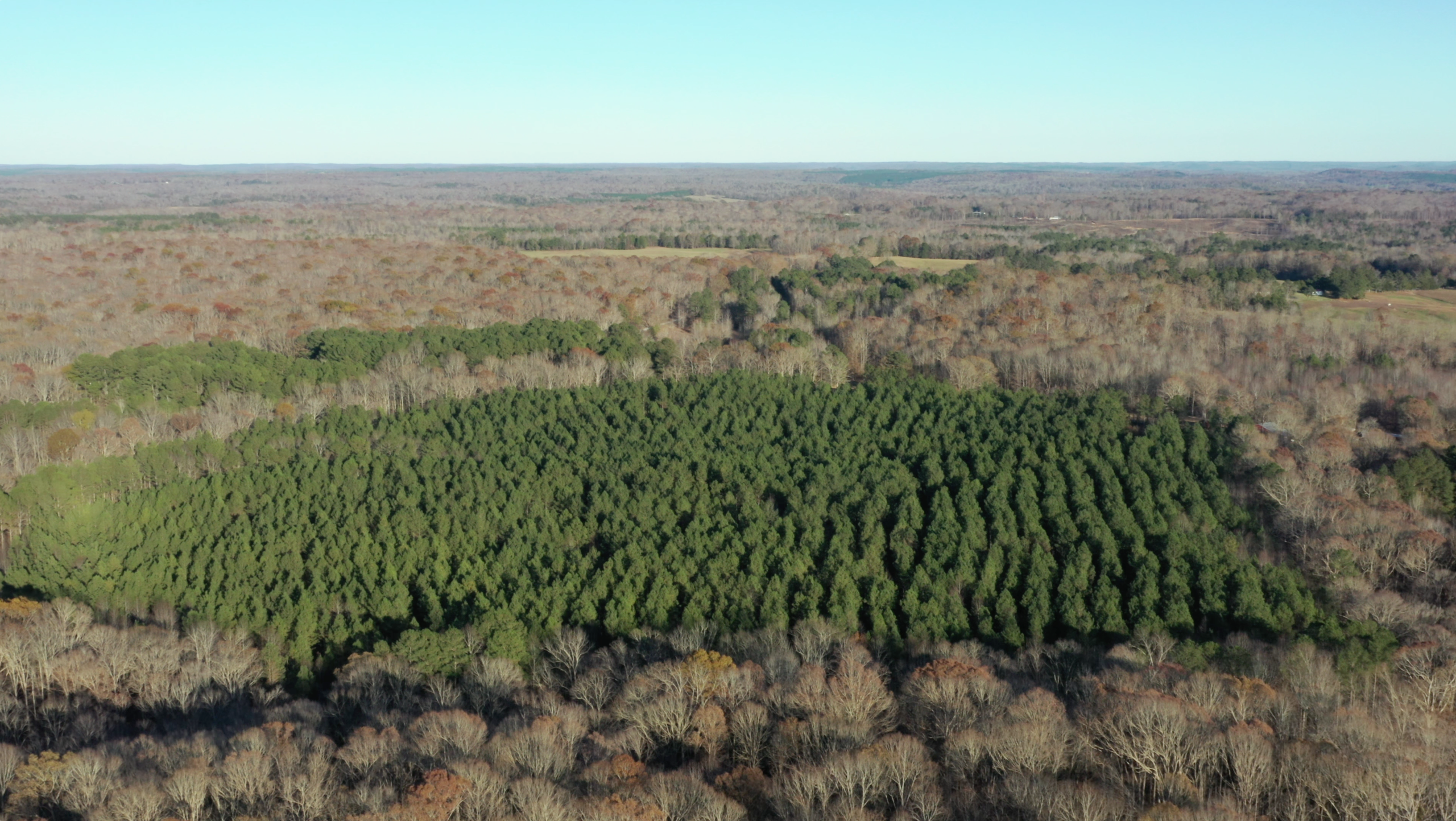Whetstone Pines photo 11