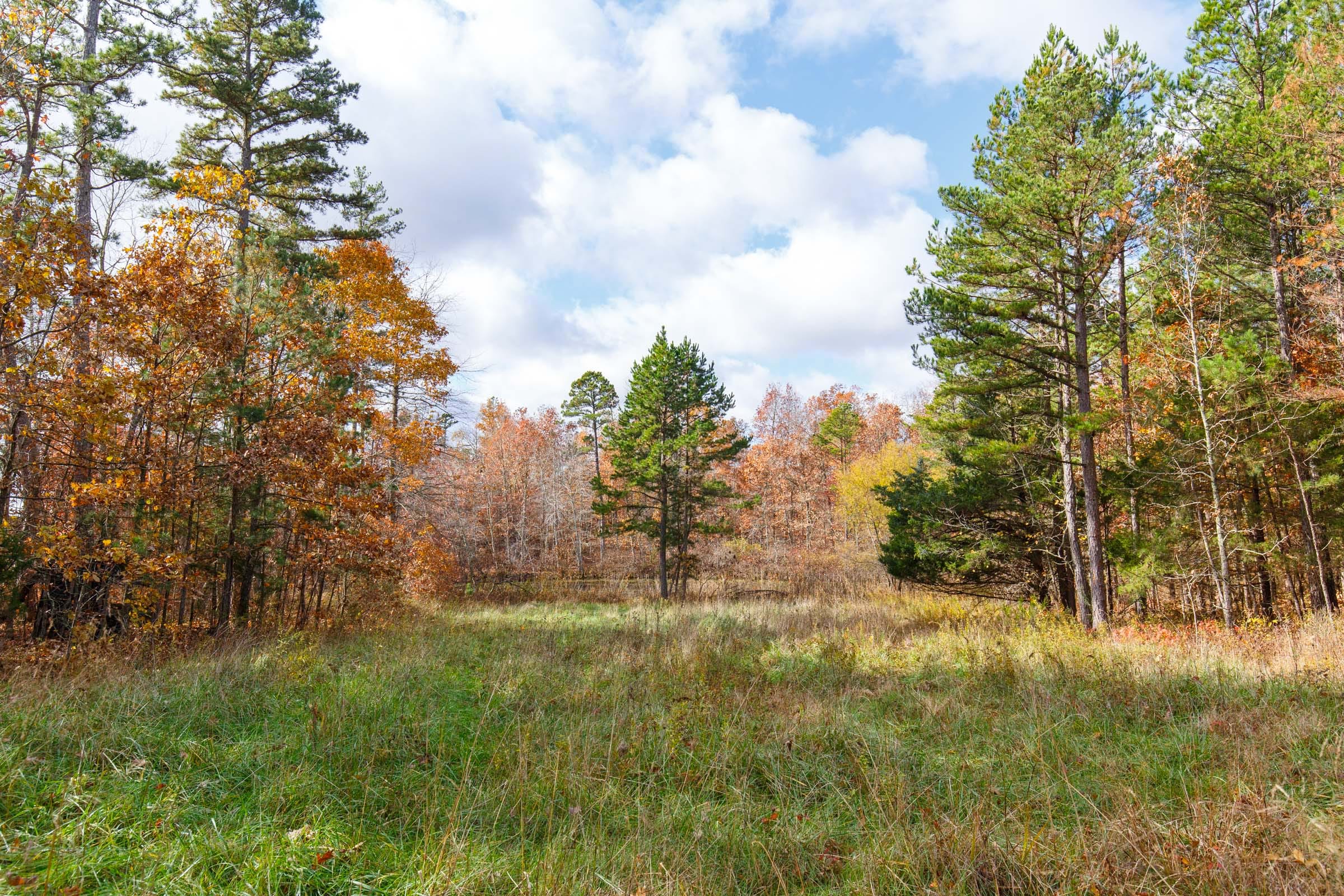 Hawkcrest photo 27