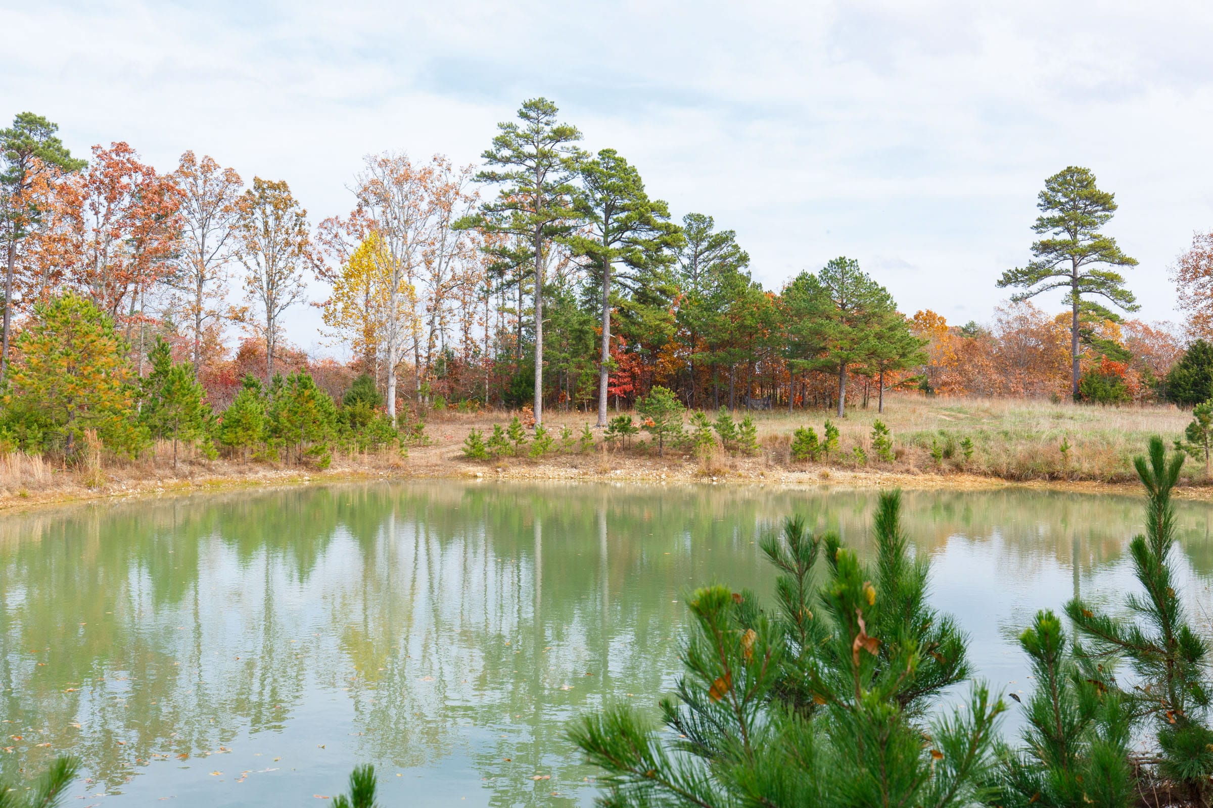 Hawkcrest photo 22