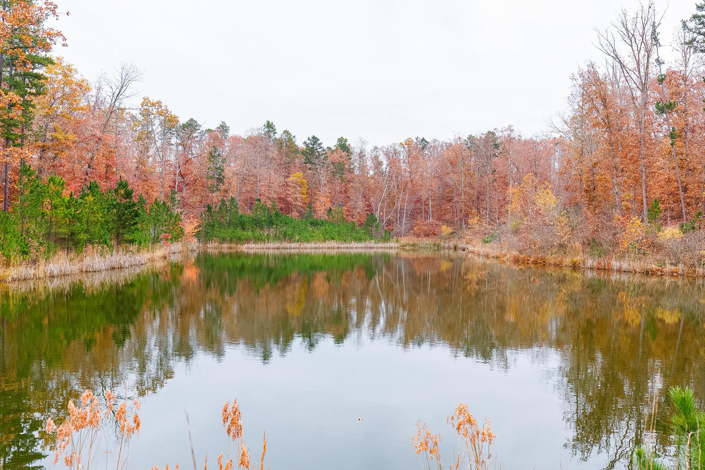 Hawkcrest photo 18