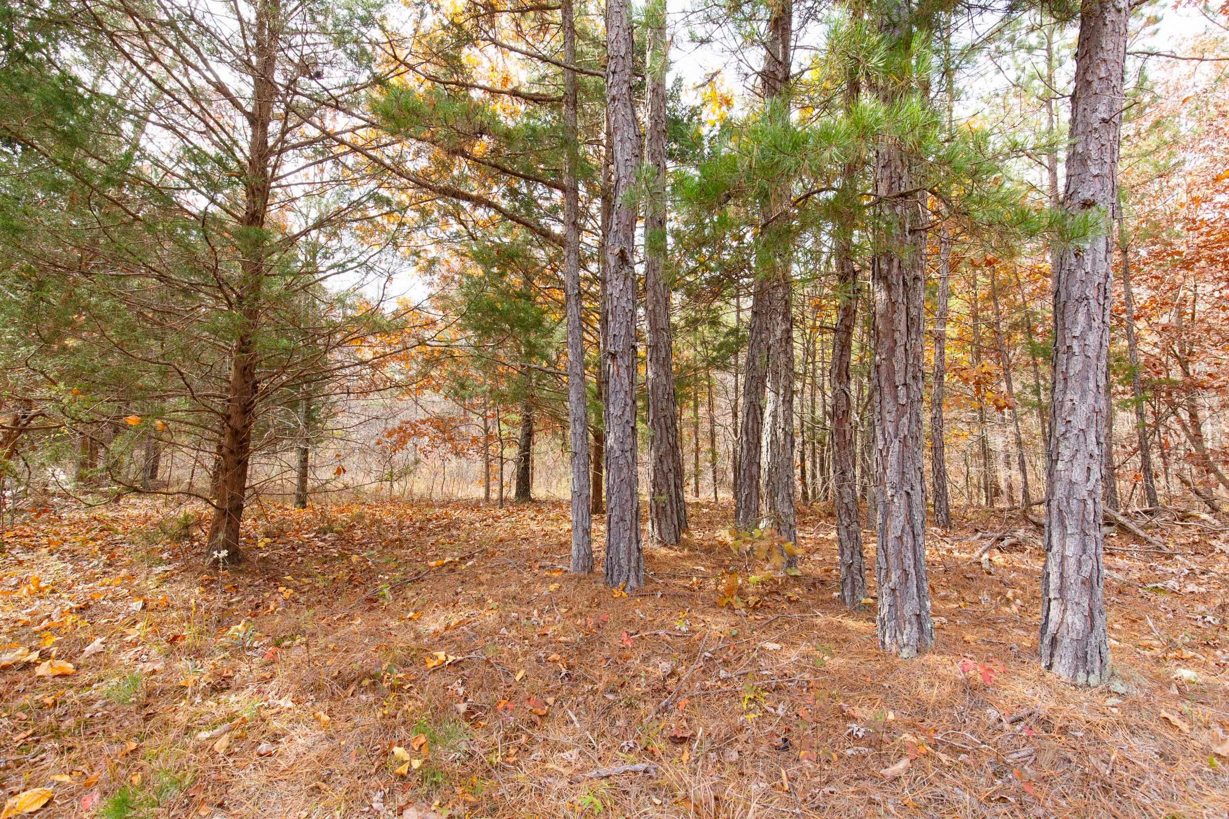 Hawkcrest photo 20