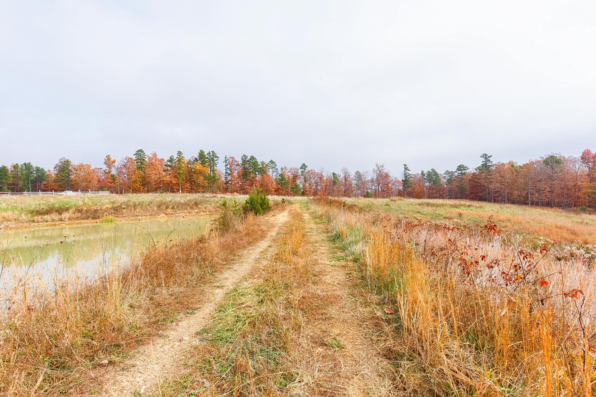 Hawkcrest photo 17