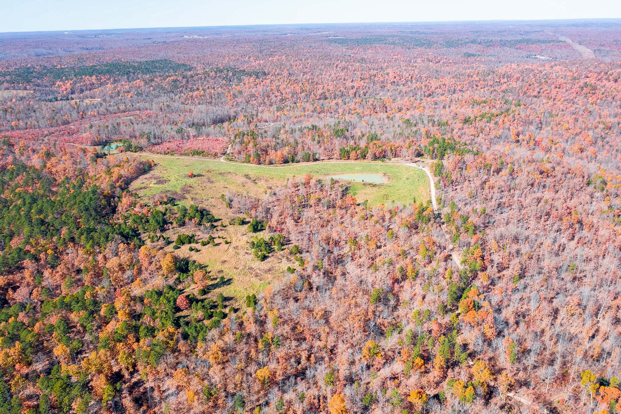 Hawkcrest photo 9