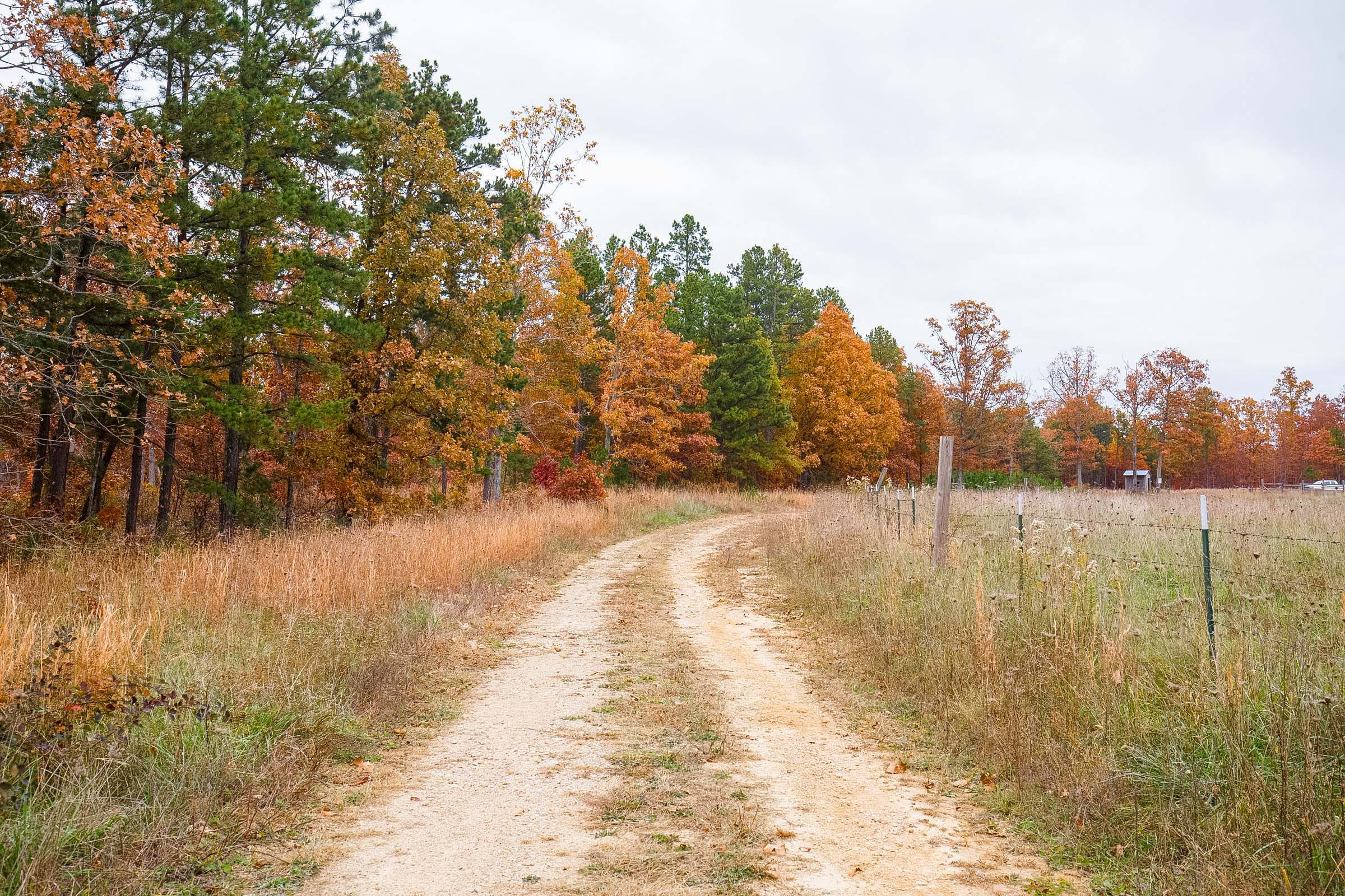 Hawkcrest photo 15