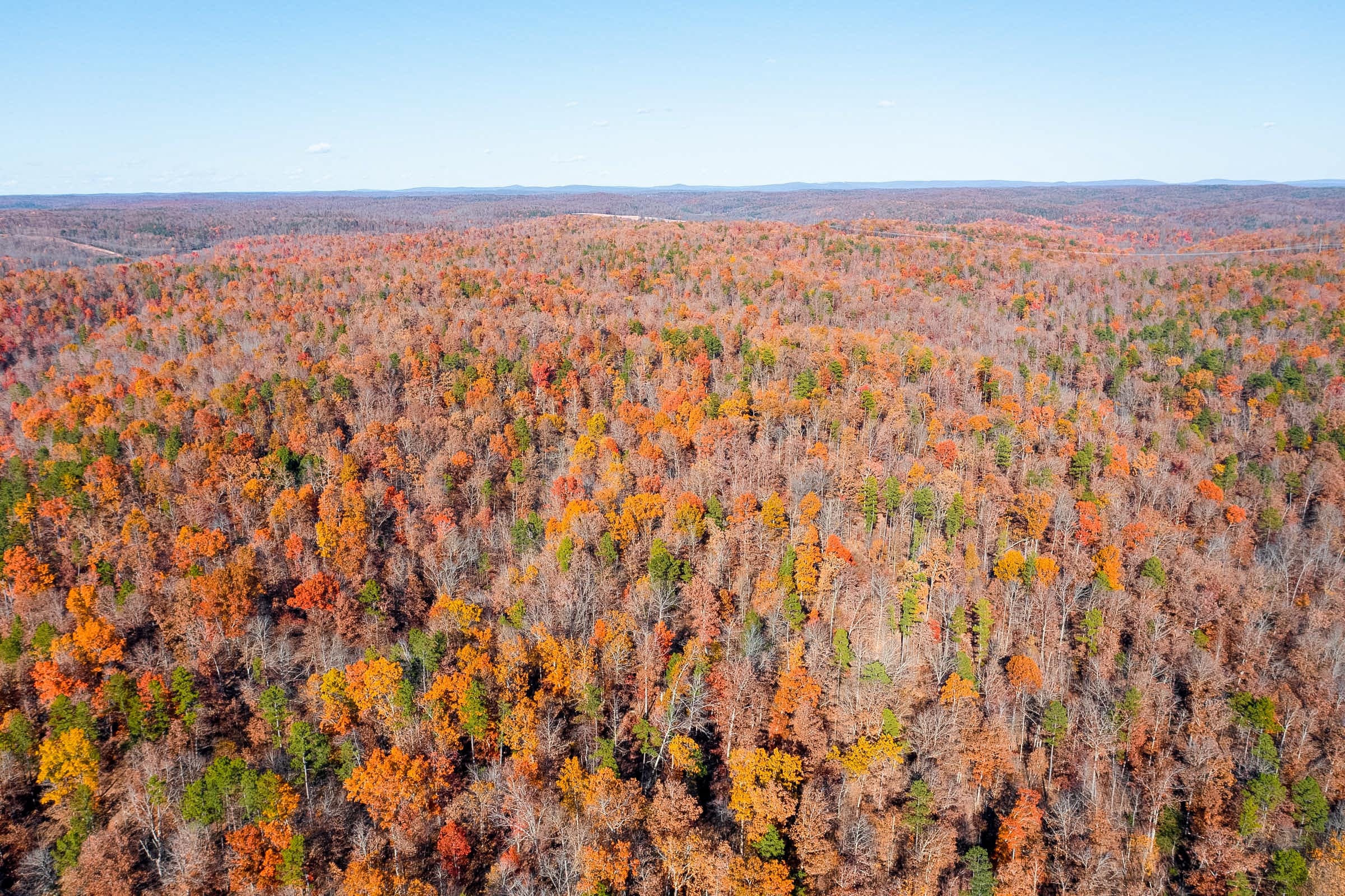 Hawkcrest photo 10