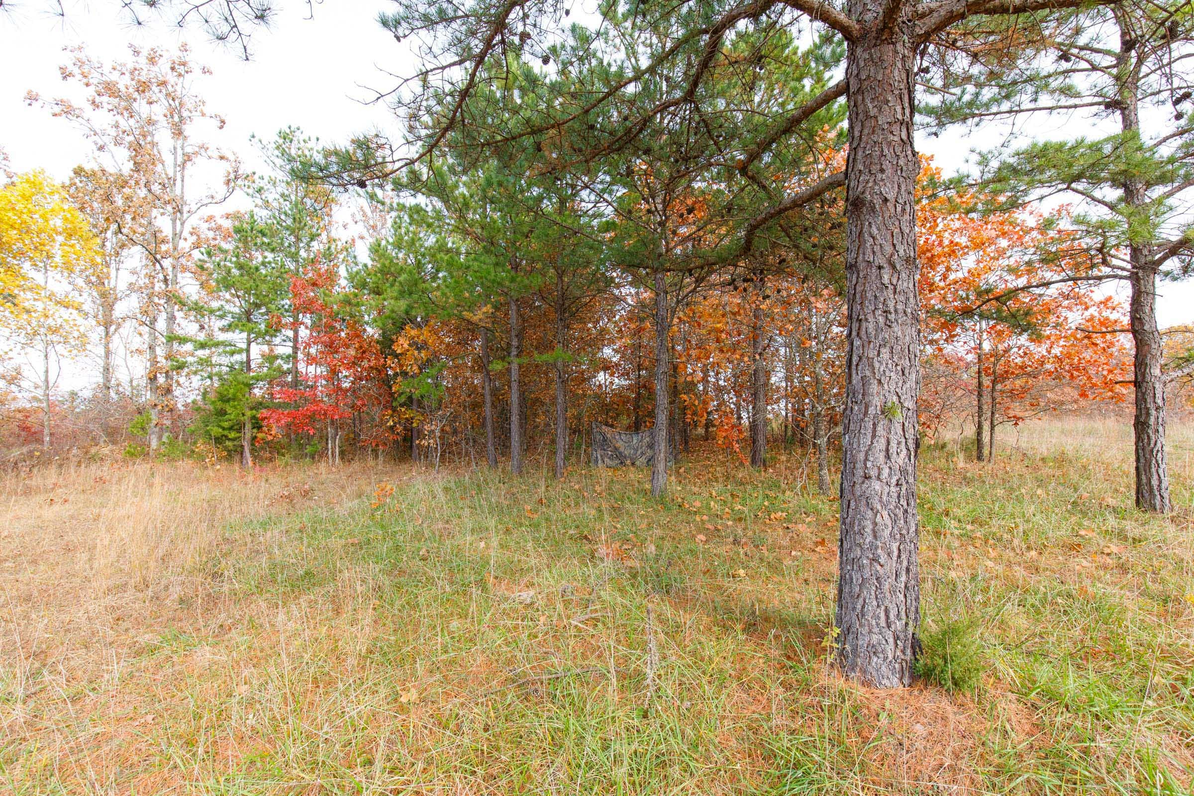 Hawkcrest photo 23