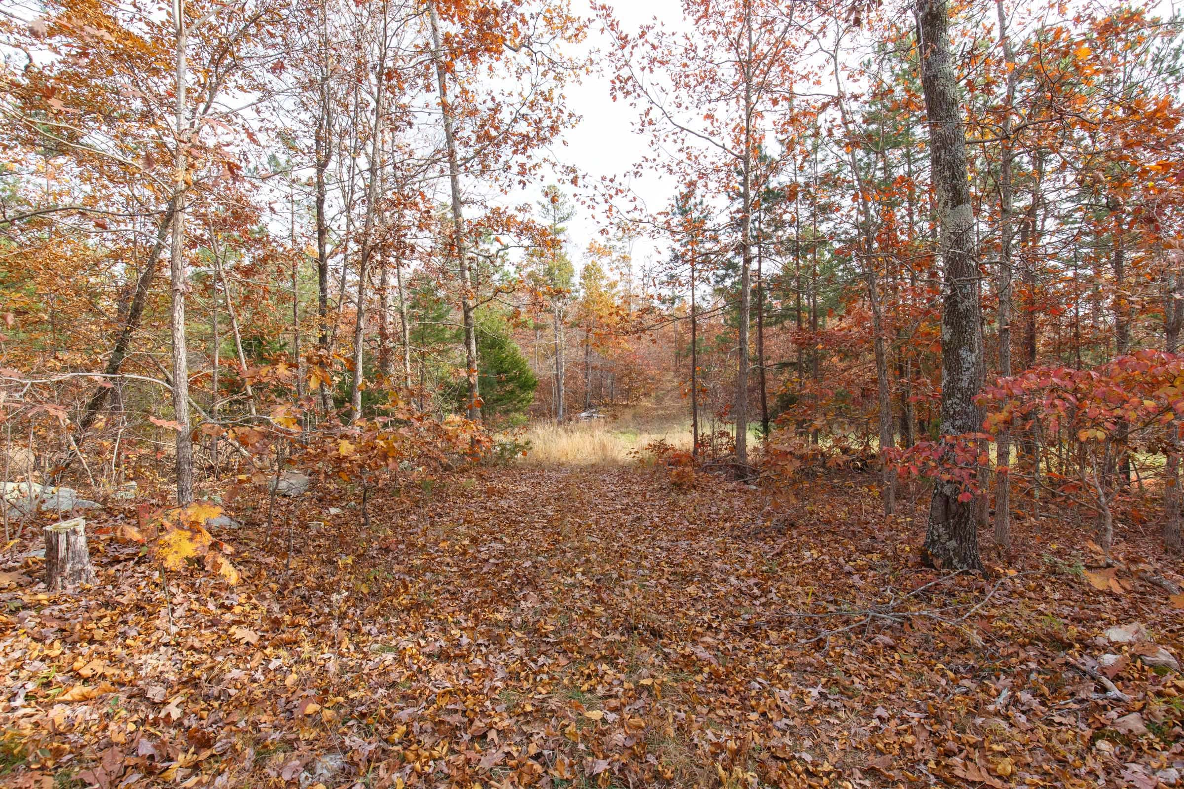 Hawkcrest photo 25