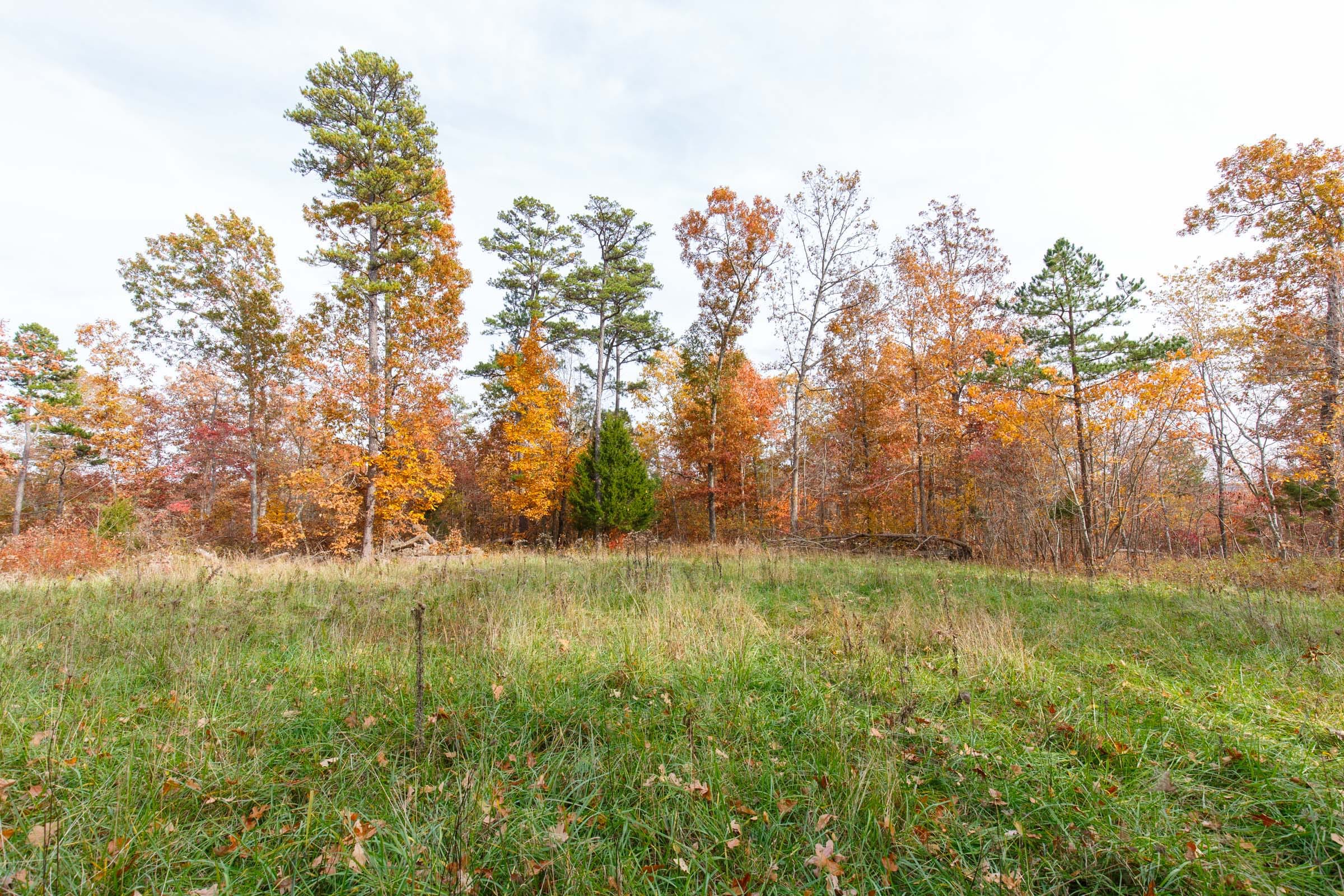 Hawkcrest photo 24