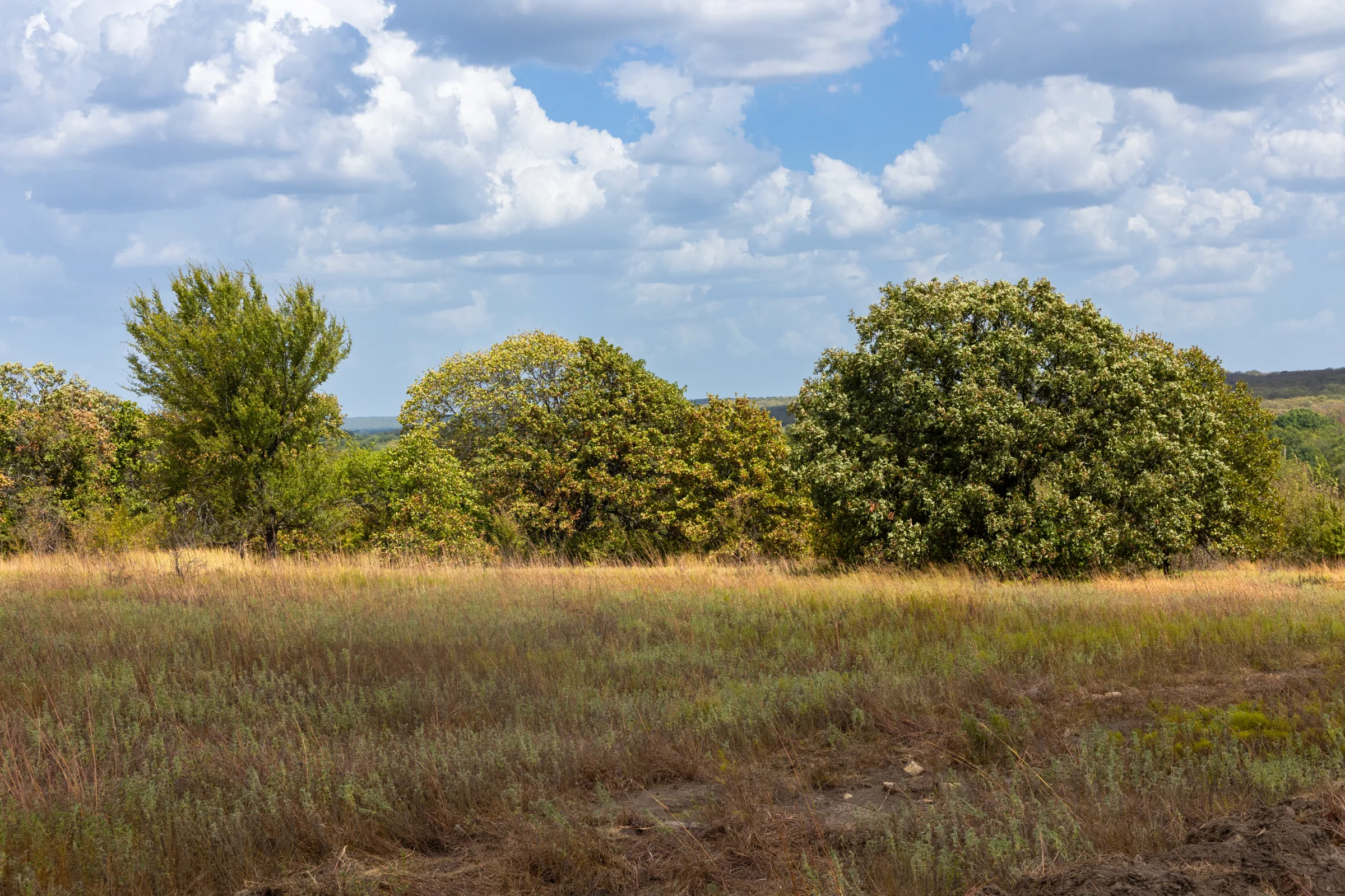 Gracyn Meadows photo 5