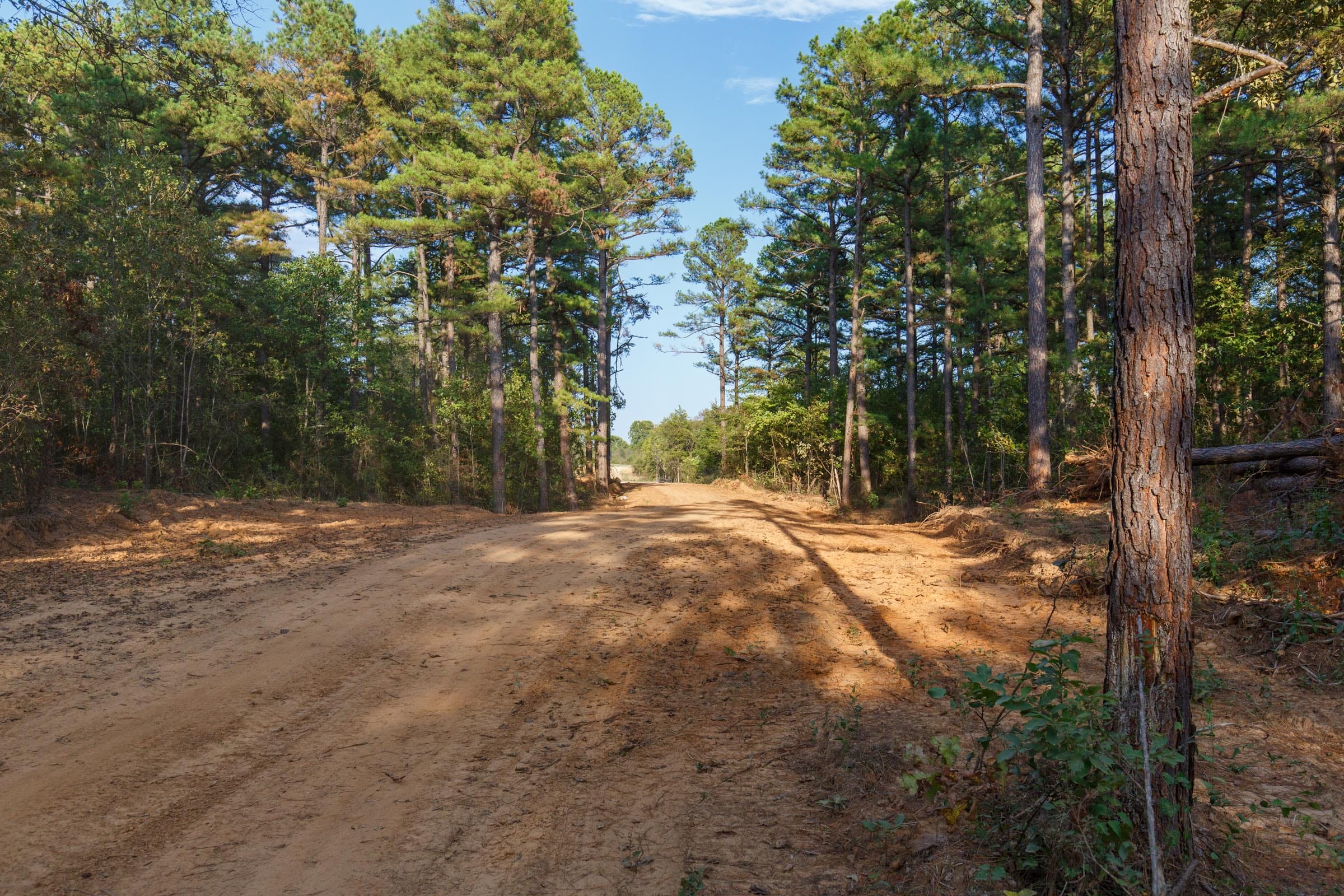 Stone Bridge Phase I photo 20