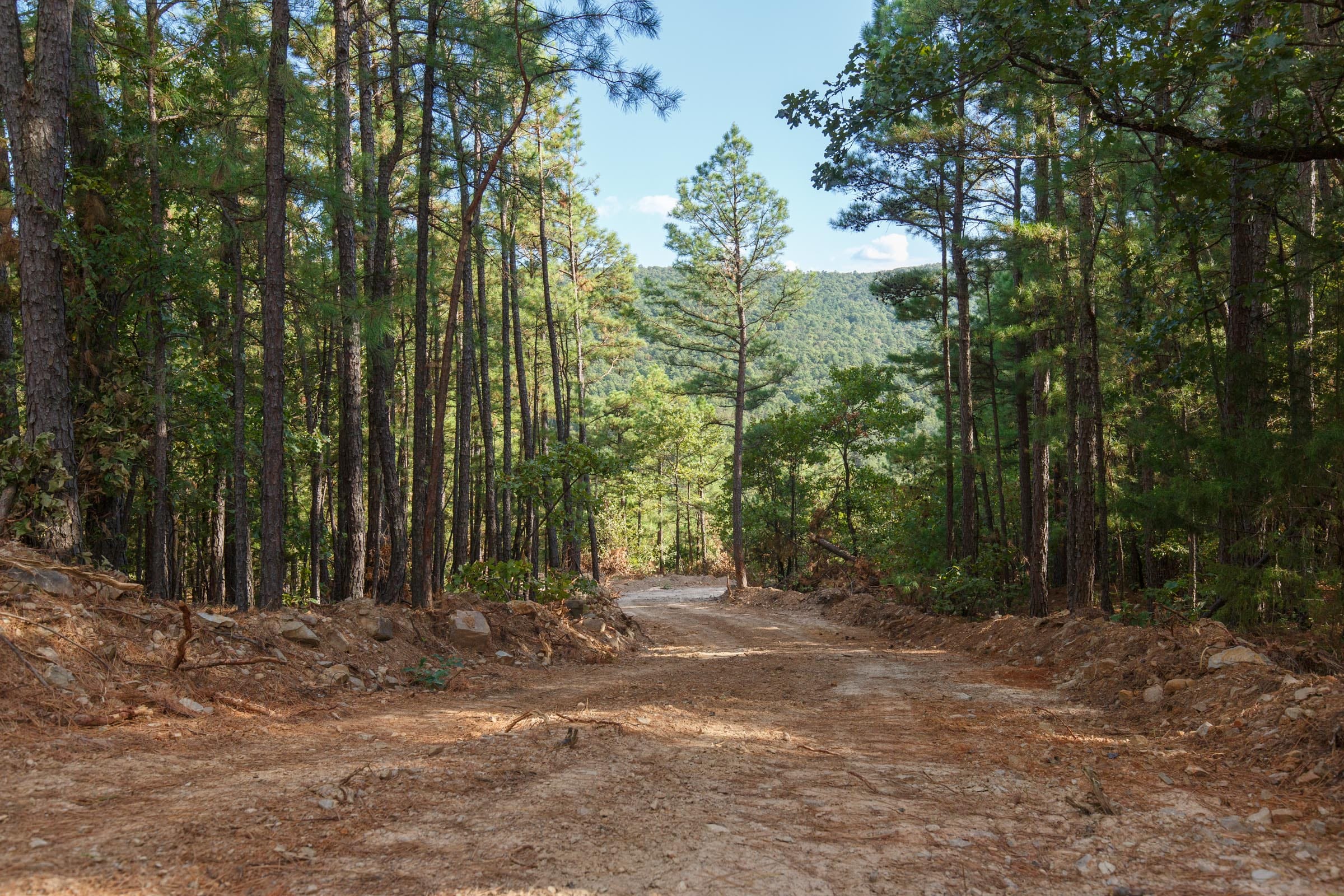 Stone Bridge Phase I photo 15