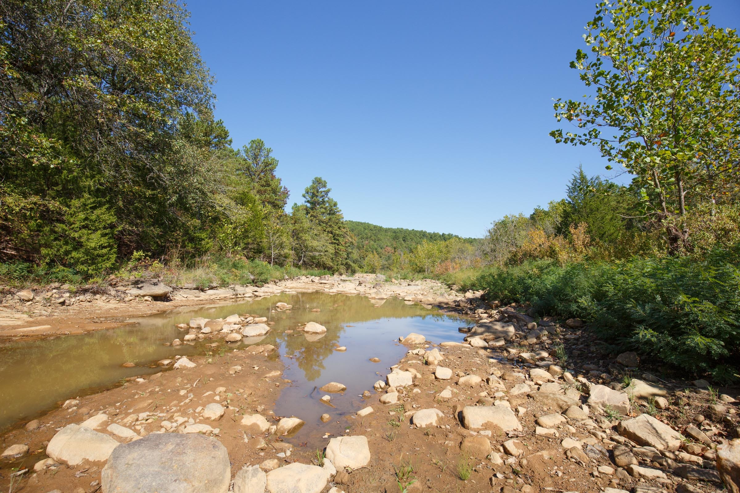 Stone Bridge Phase I photo 6