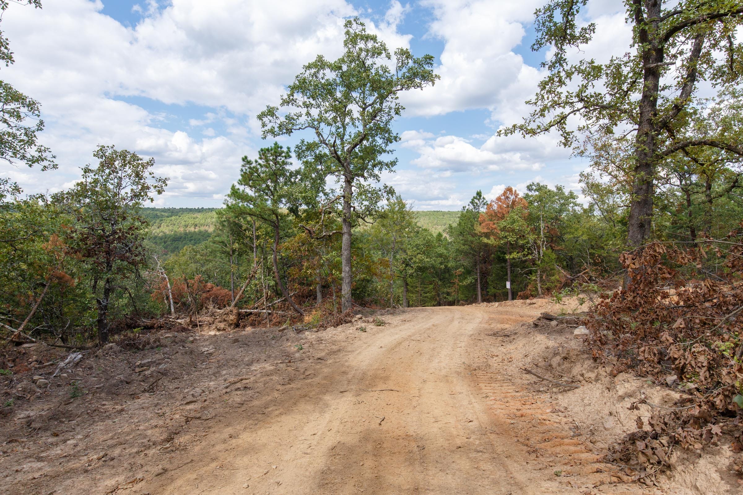 Stone Bridge Phase I photo 12