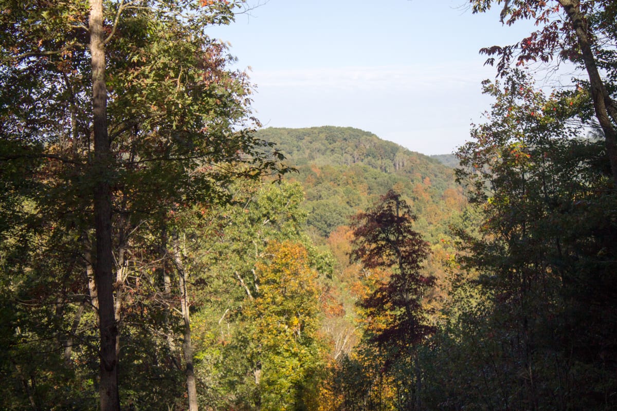 Black Oak Ranch photo 8