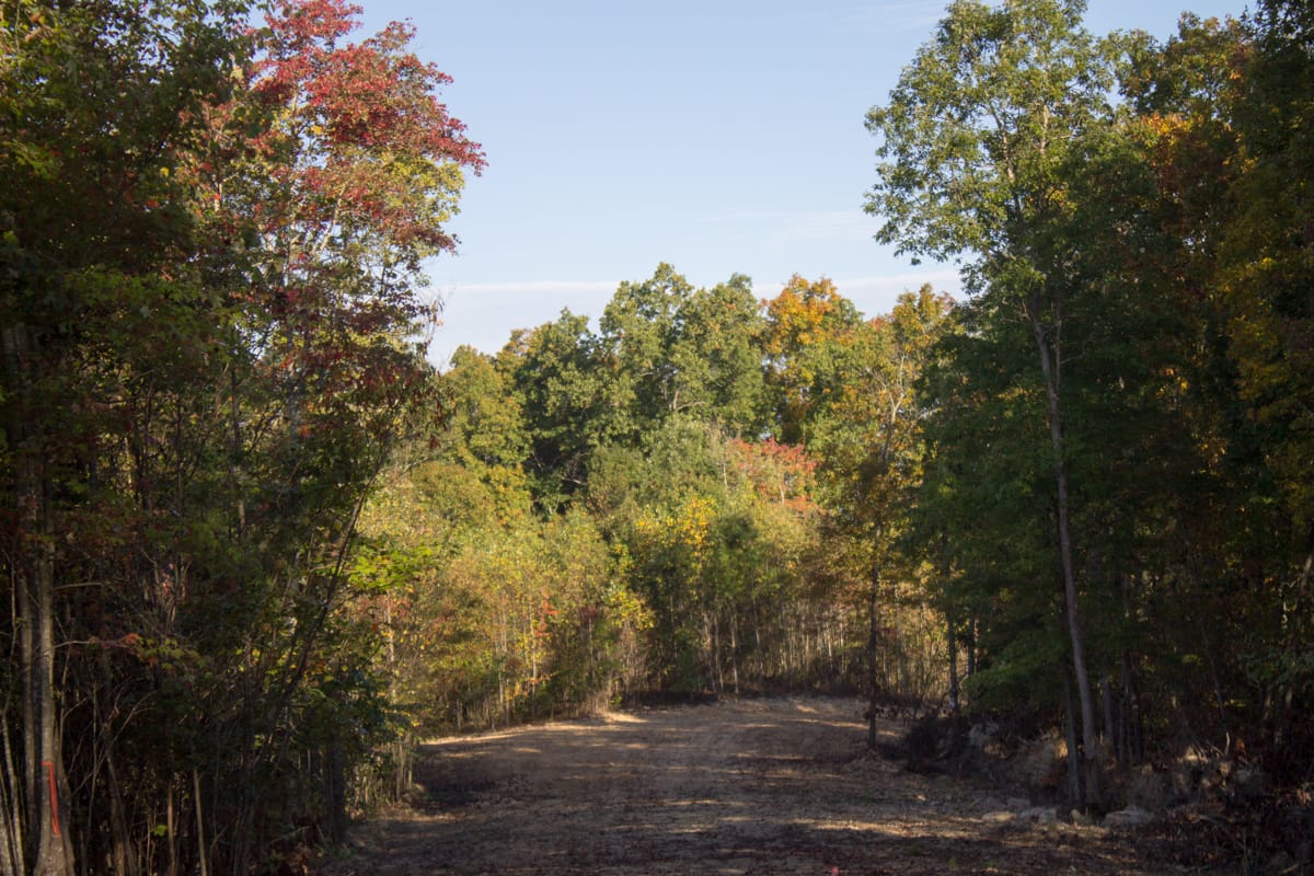 Black Oak Ranch photo 4