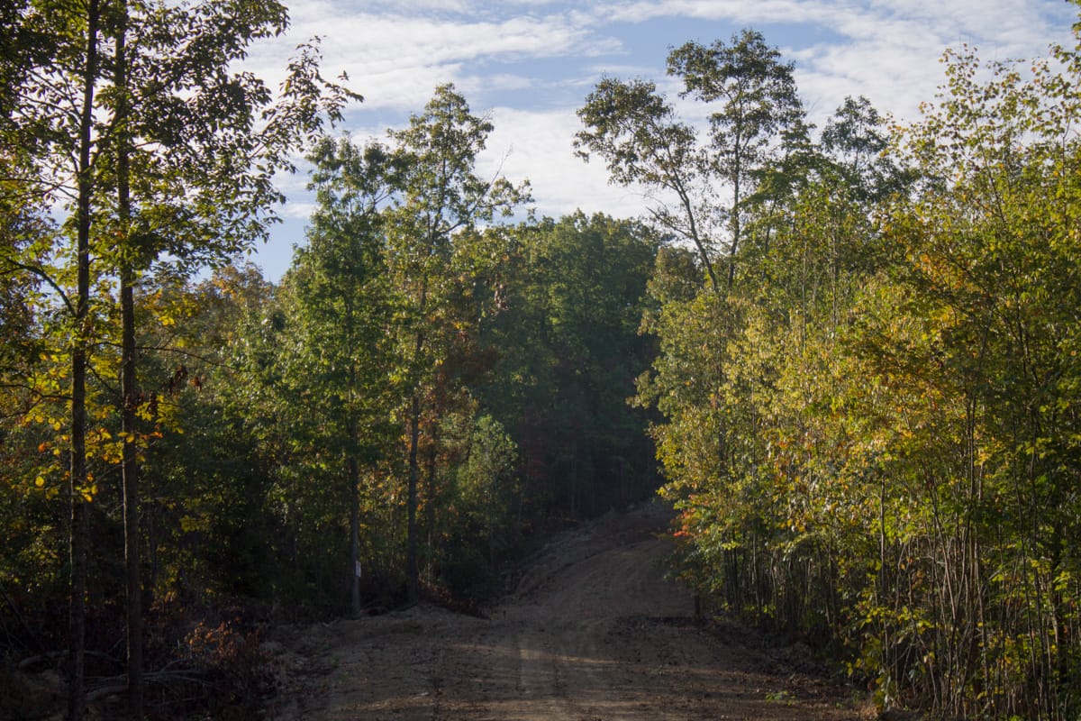 Black Oak Ranch photo 3