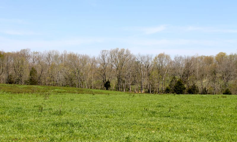 Cedar Ridge Ranch photo 8