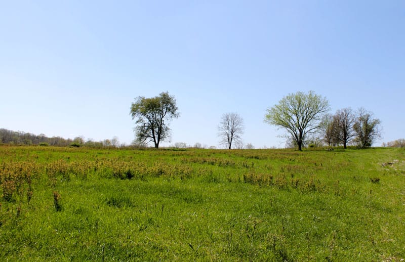 Cedar Ridge Ranch photo 5