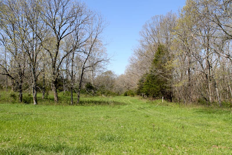 Cedar Ridge Ranch photo 4