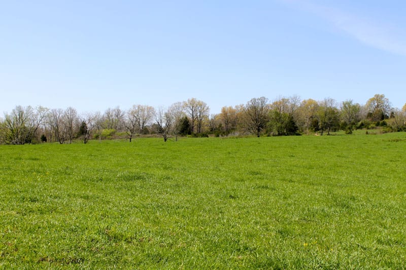 Cedar Ridge Ranch photo 7