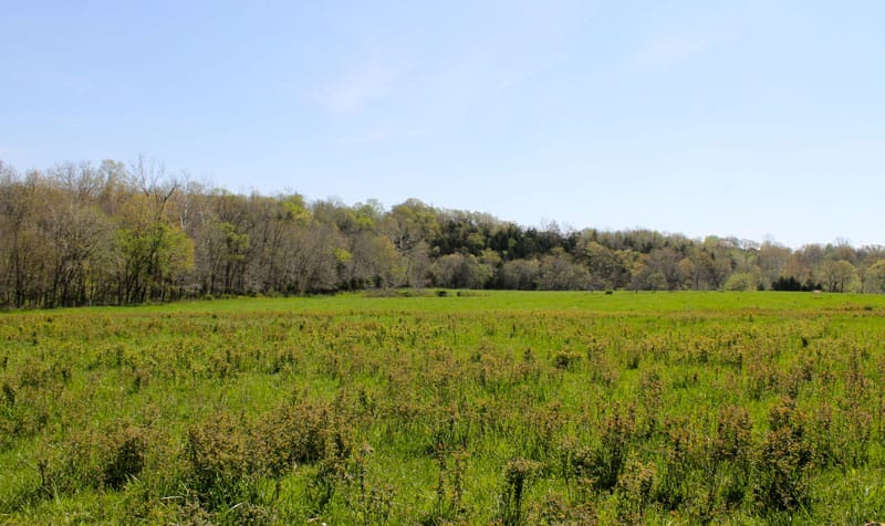 Cedar Ridge Ranch photo 6