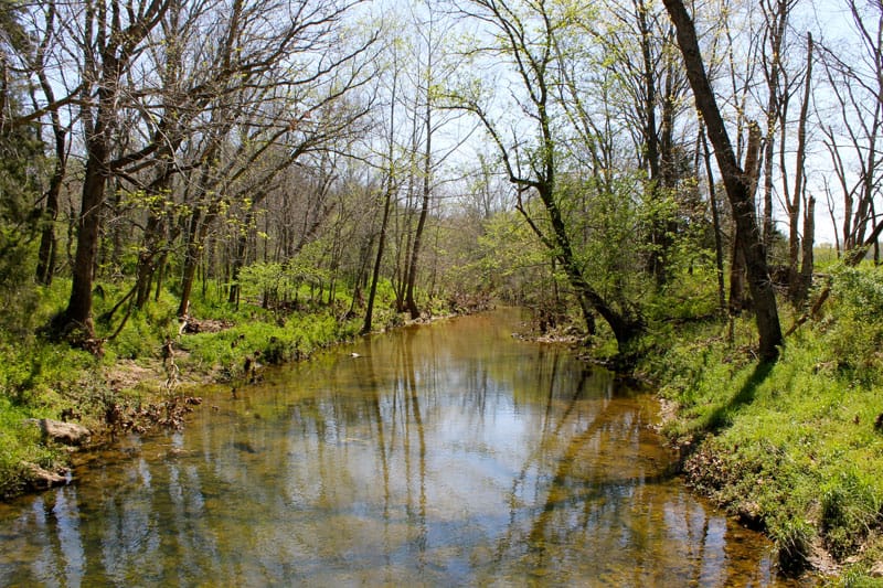 Cedar Ridge Ranch photo 2