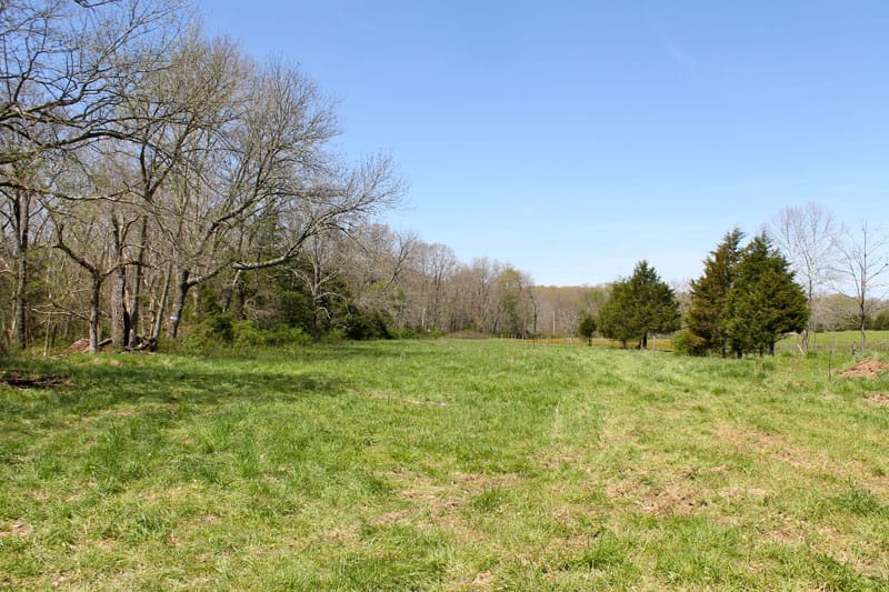 Cedar Ridge Ranch photo 9