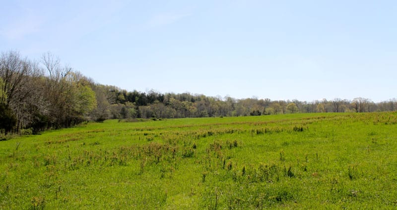 Cedar Ridge Ranch photo 3