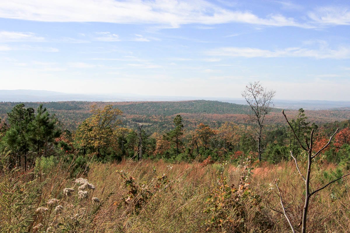 Stone Creek Phase III photo 7