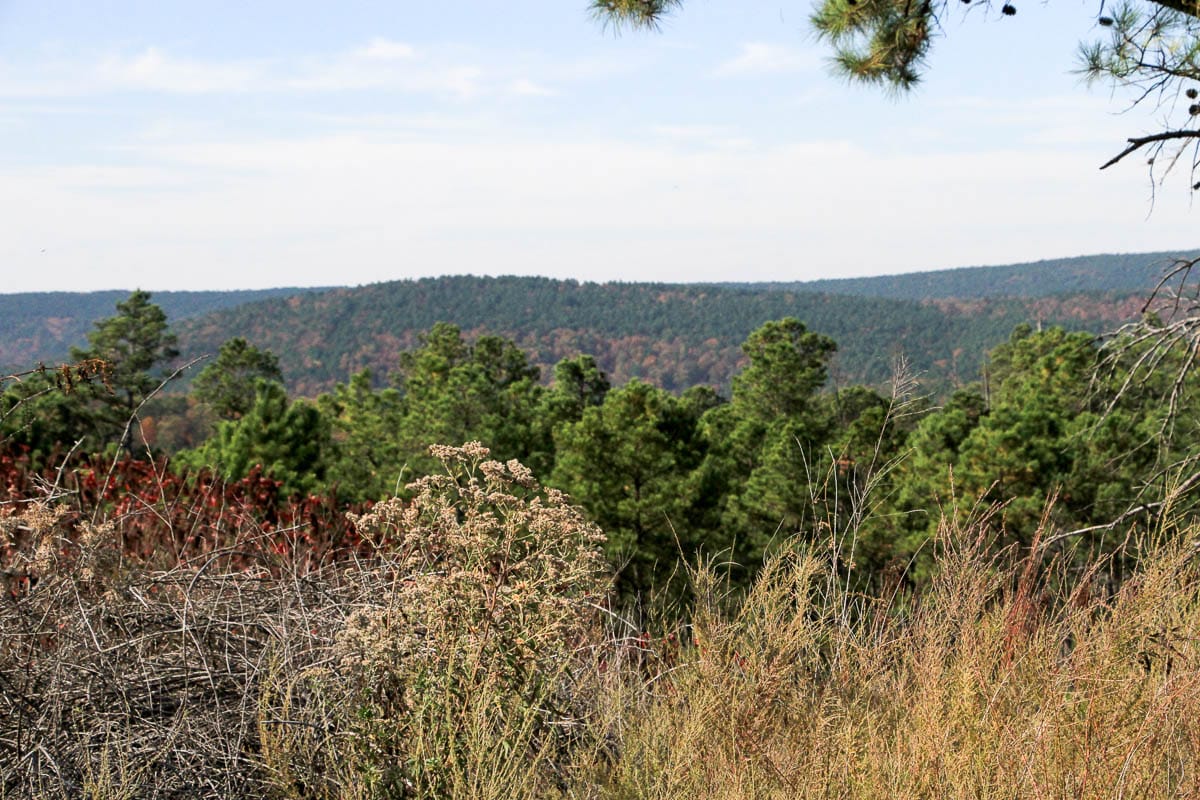 Stone Creek Phase III photo 11